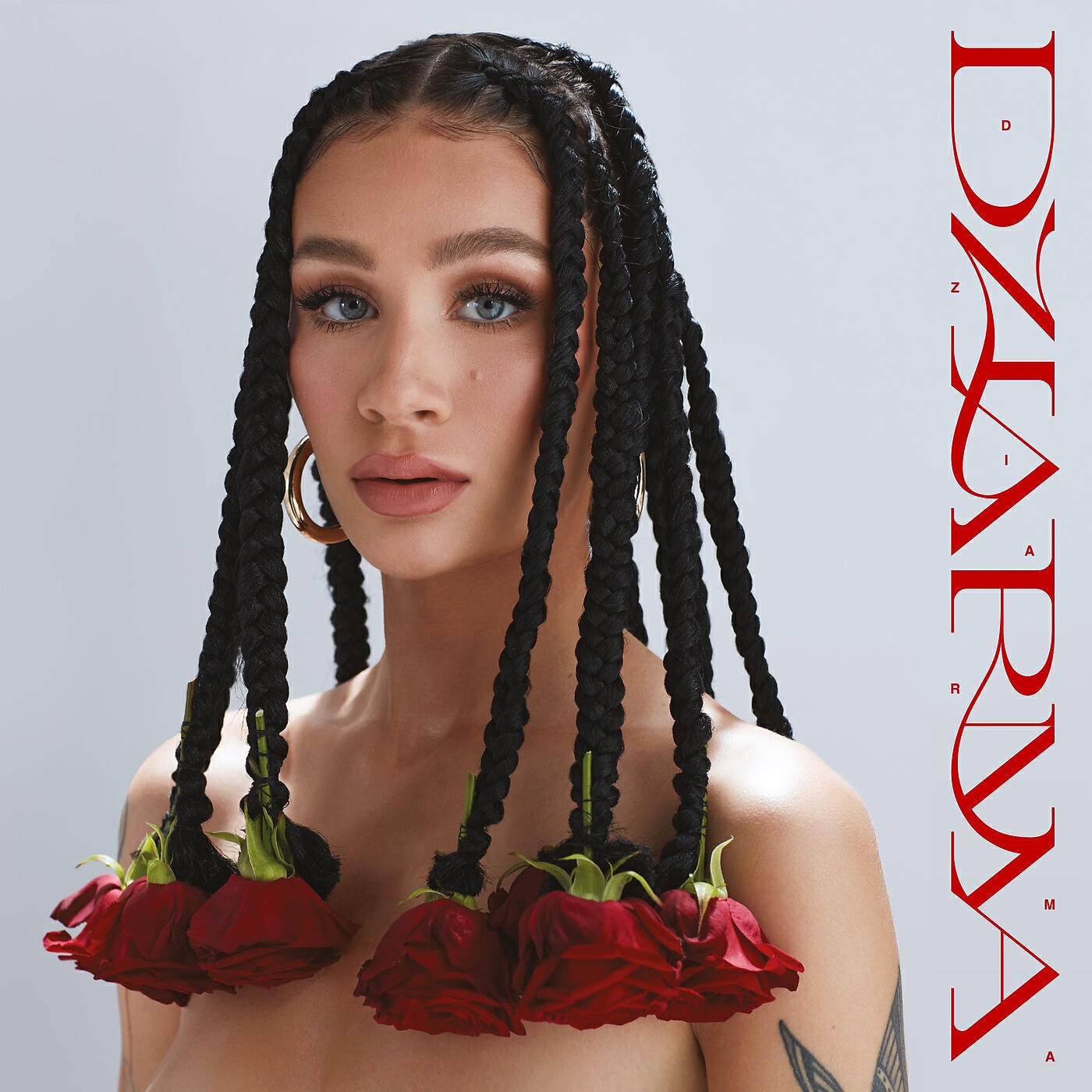 DZIARMA - Velour