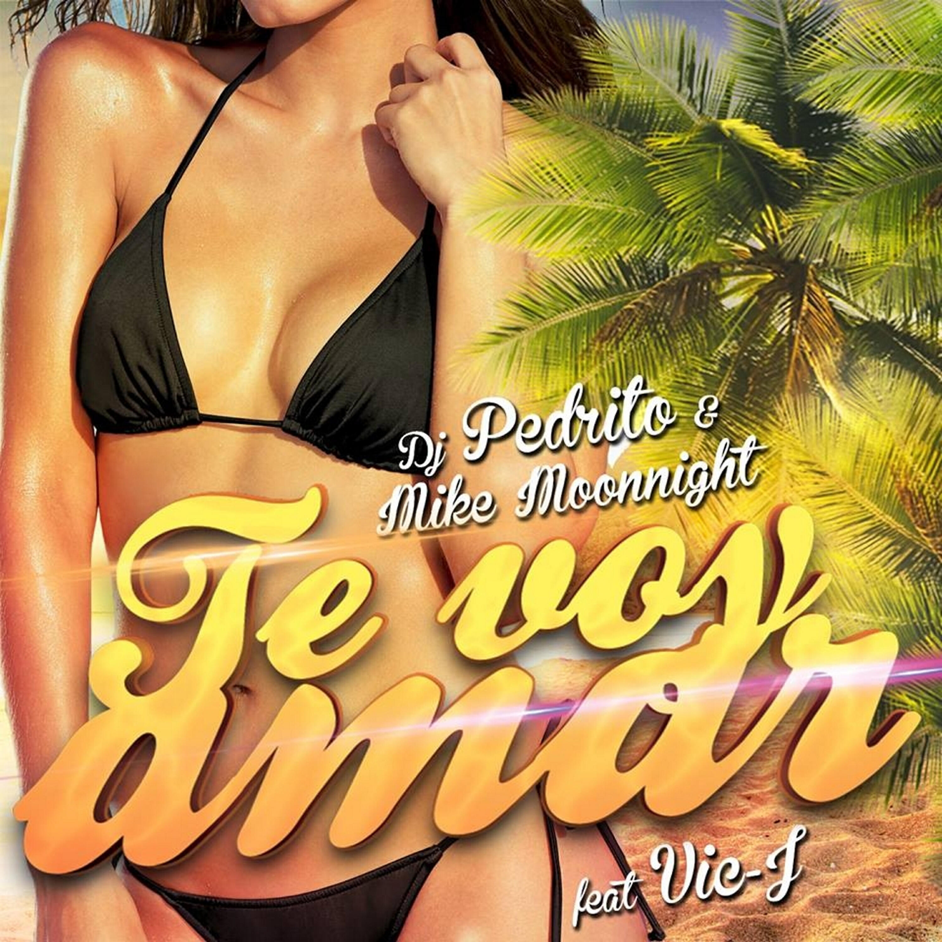 Dj Pedrito - Te Voy Amar (Richard B Remix)