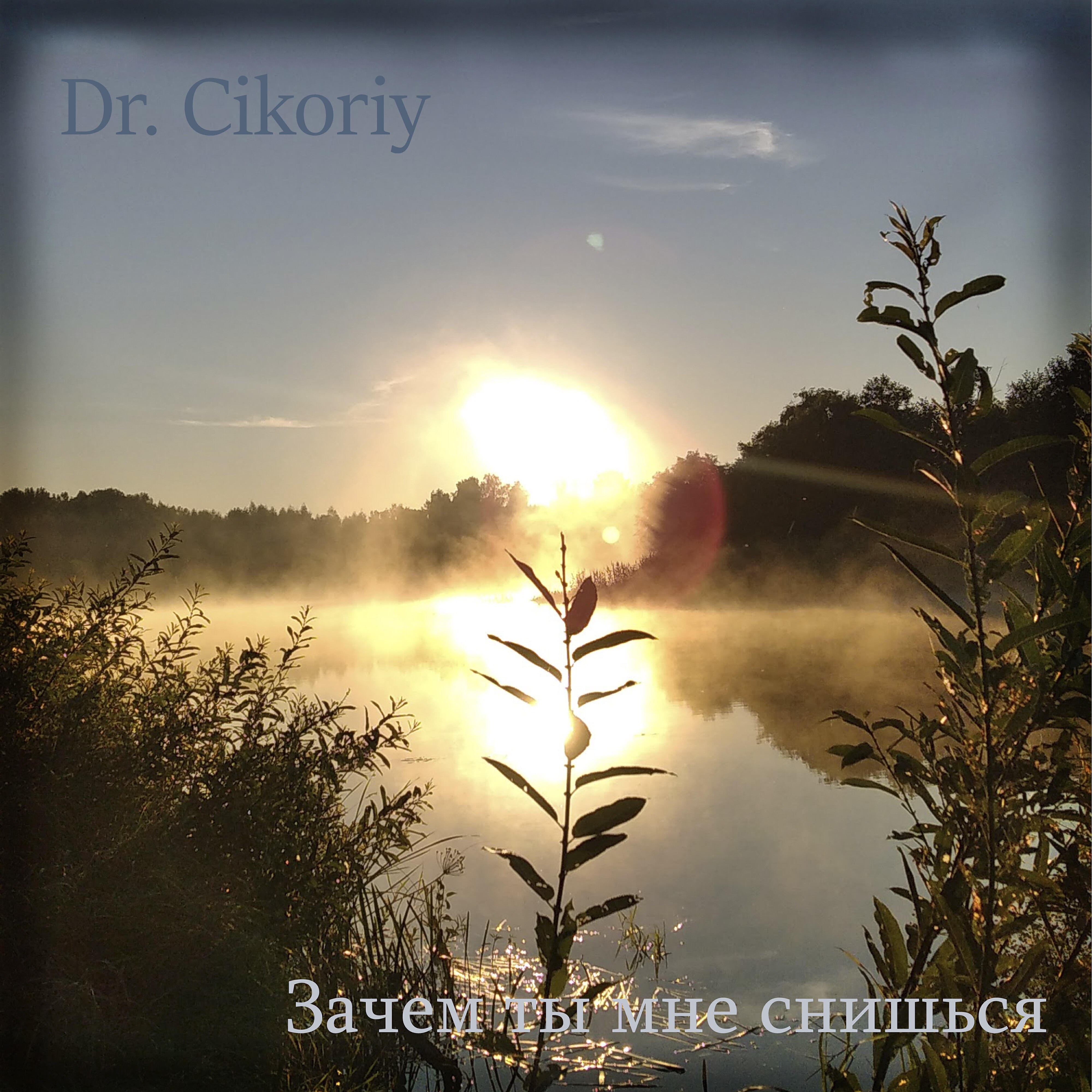 Dr. Cikoriy - Зачем ты мне снишься