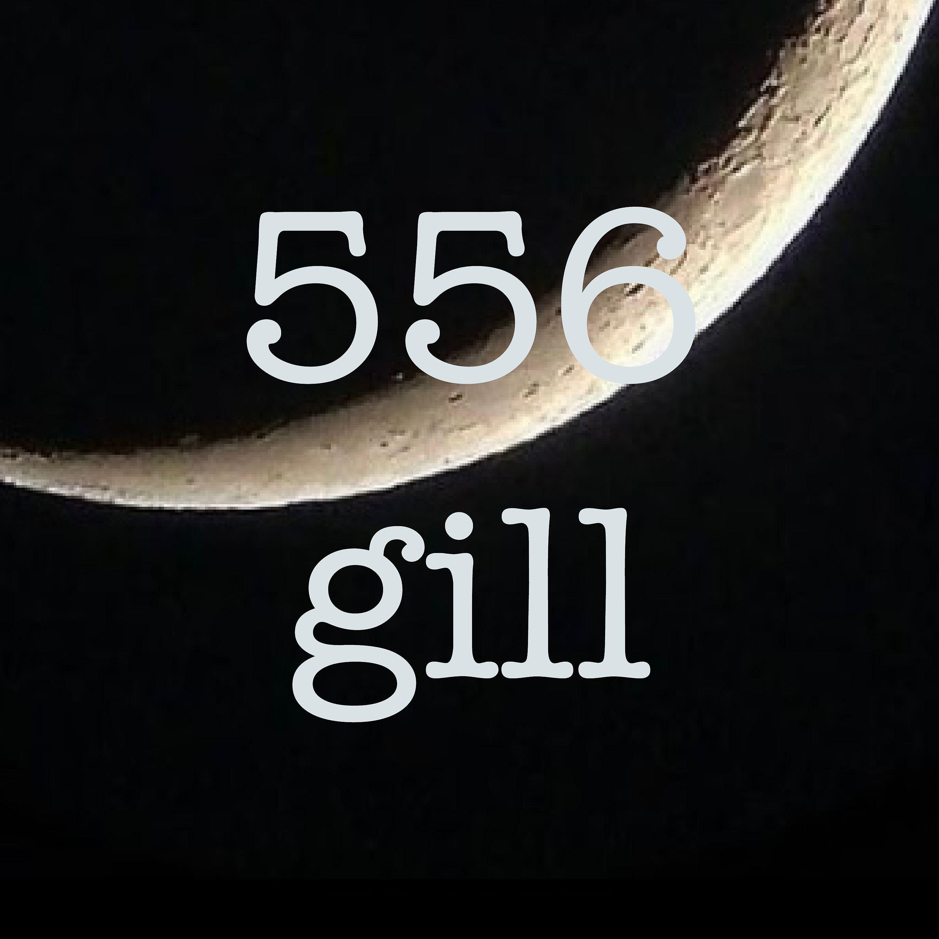 Постер альбома 556 Gill
