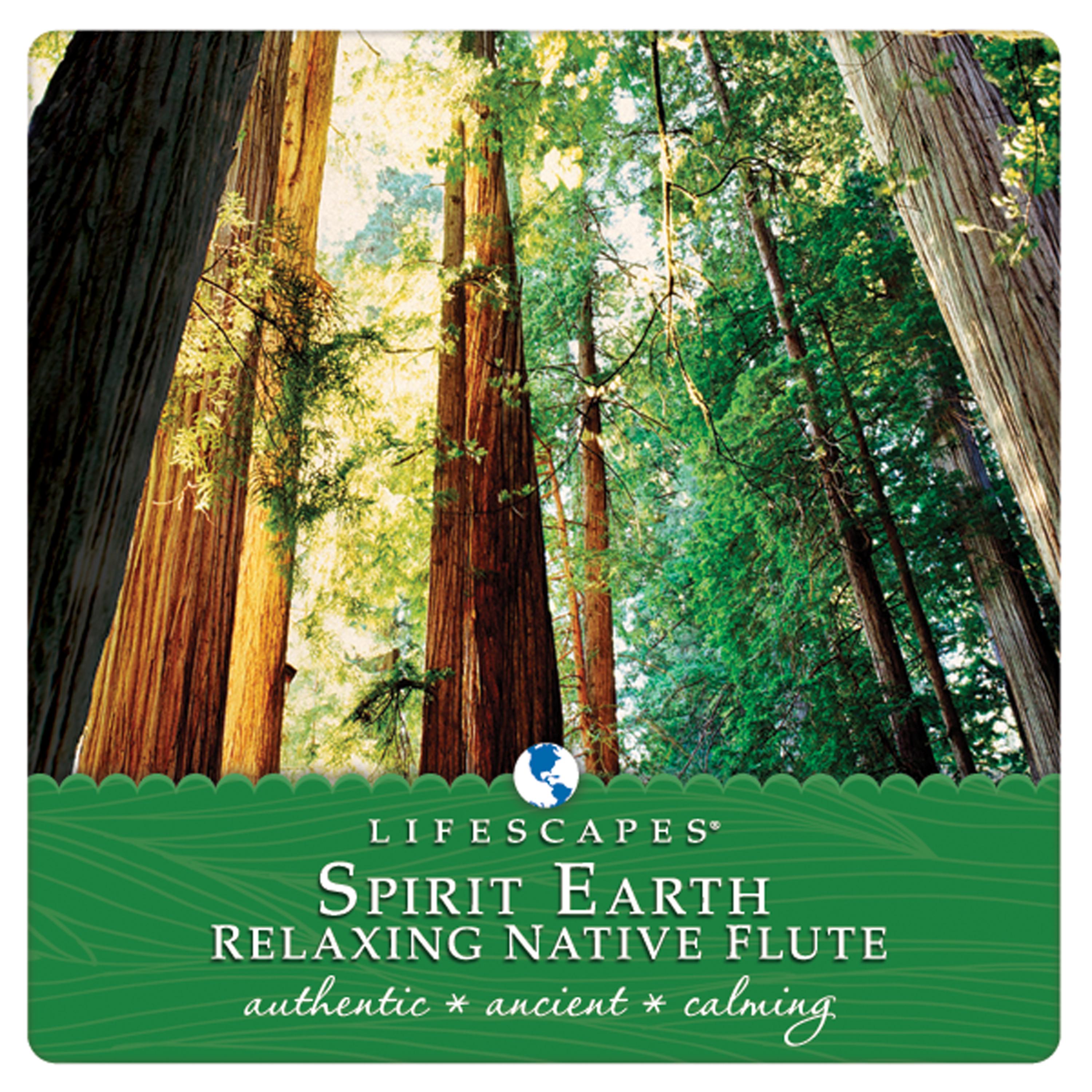 Постер альбома Spirit Earth: Relaxing Native Flute