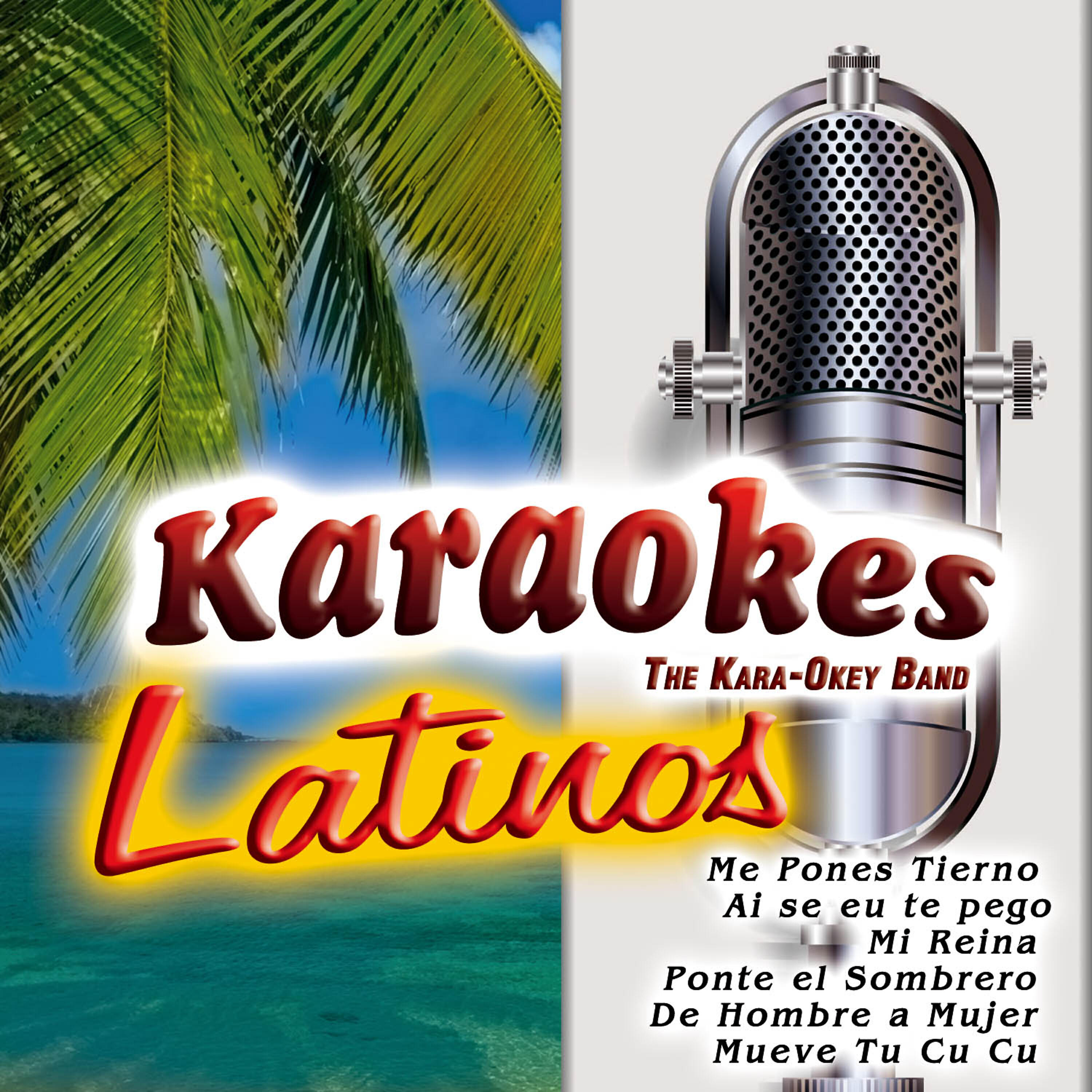 The Kara-Okey Band - Ponte el Sombrero (Karaoke Version)