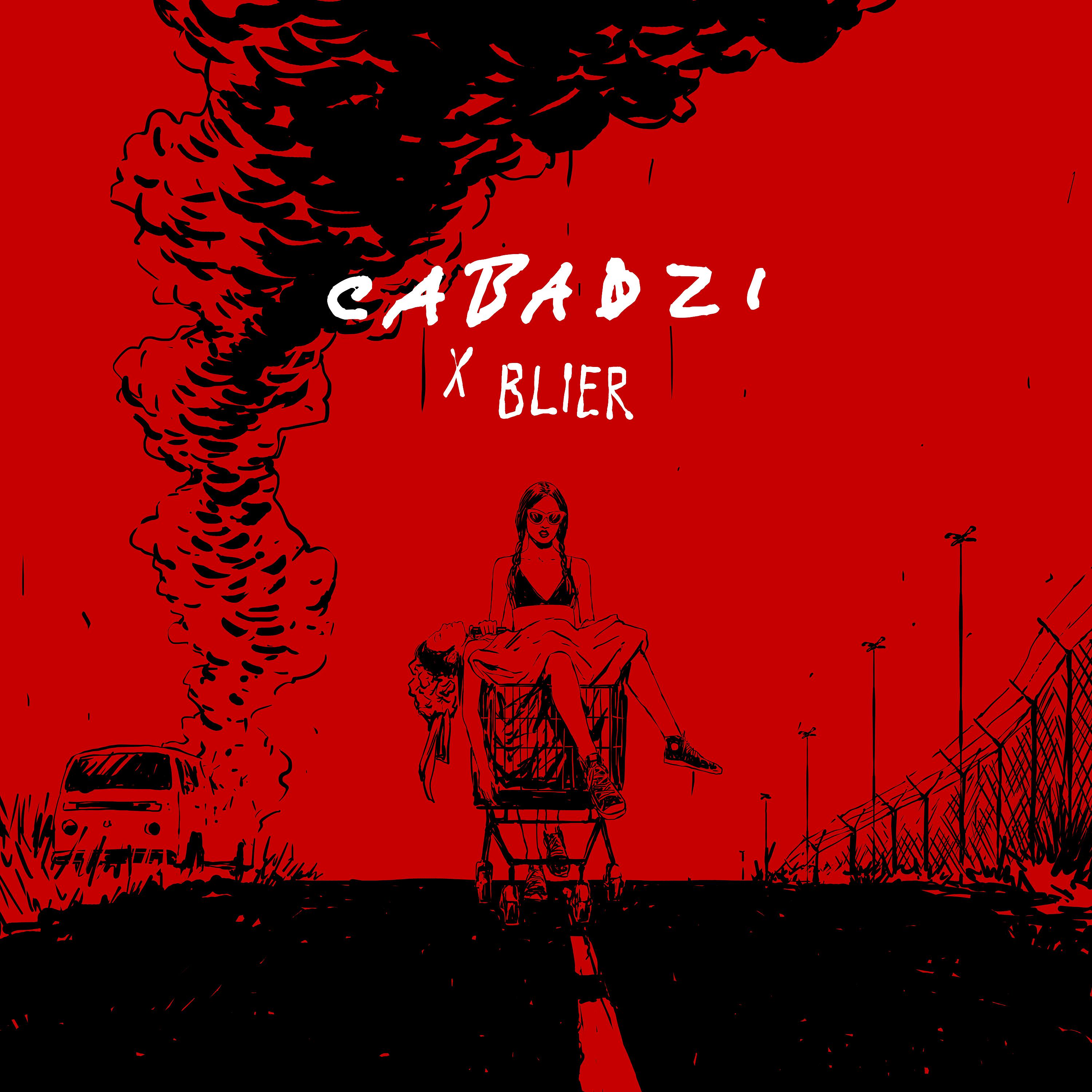 Постер альбома Cabadzi x Blier