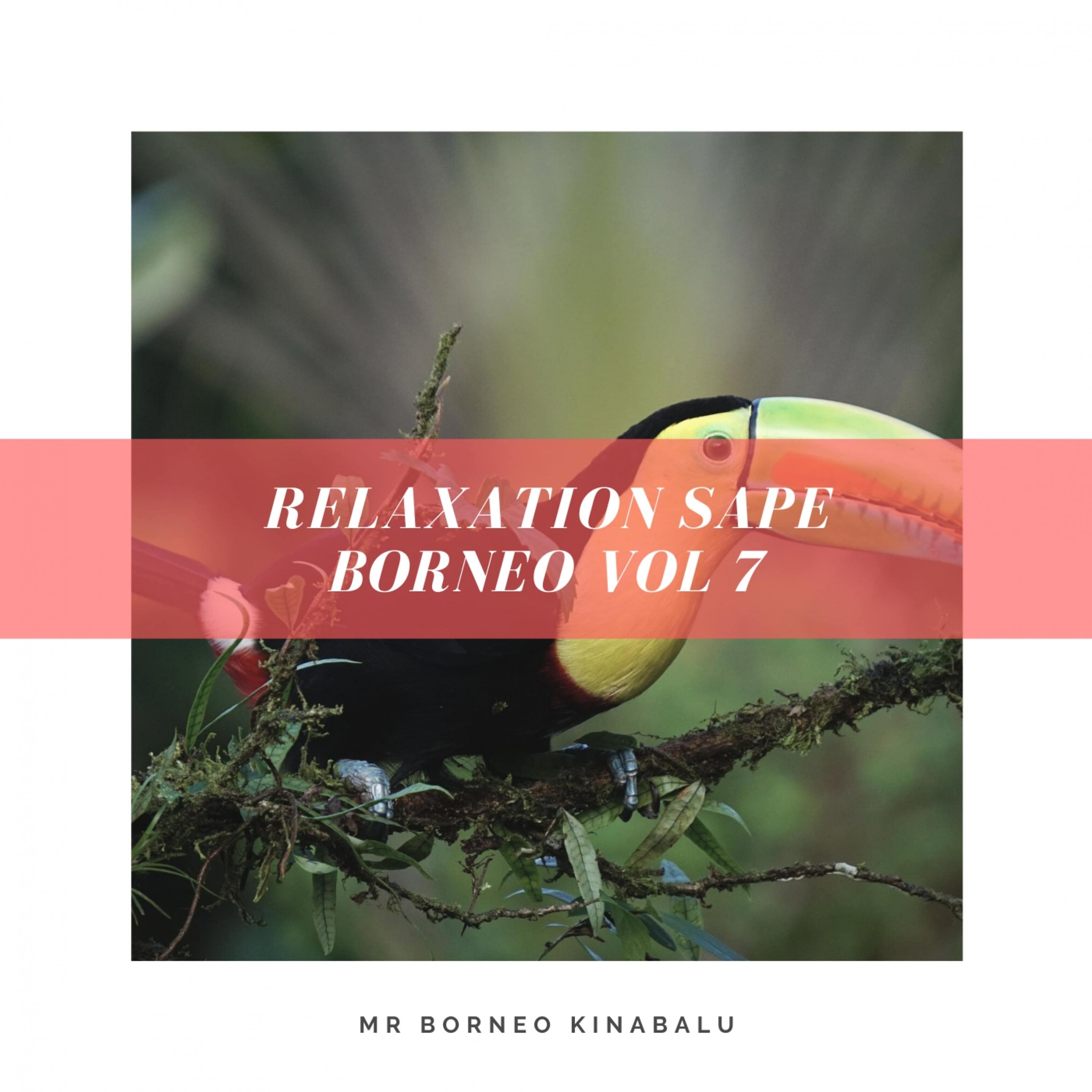 Постер альбома Relaxation Sape Borneo, Vol. 7