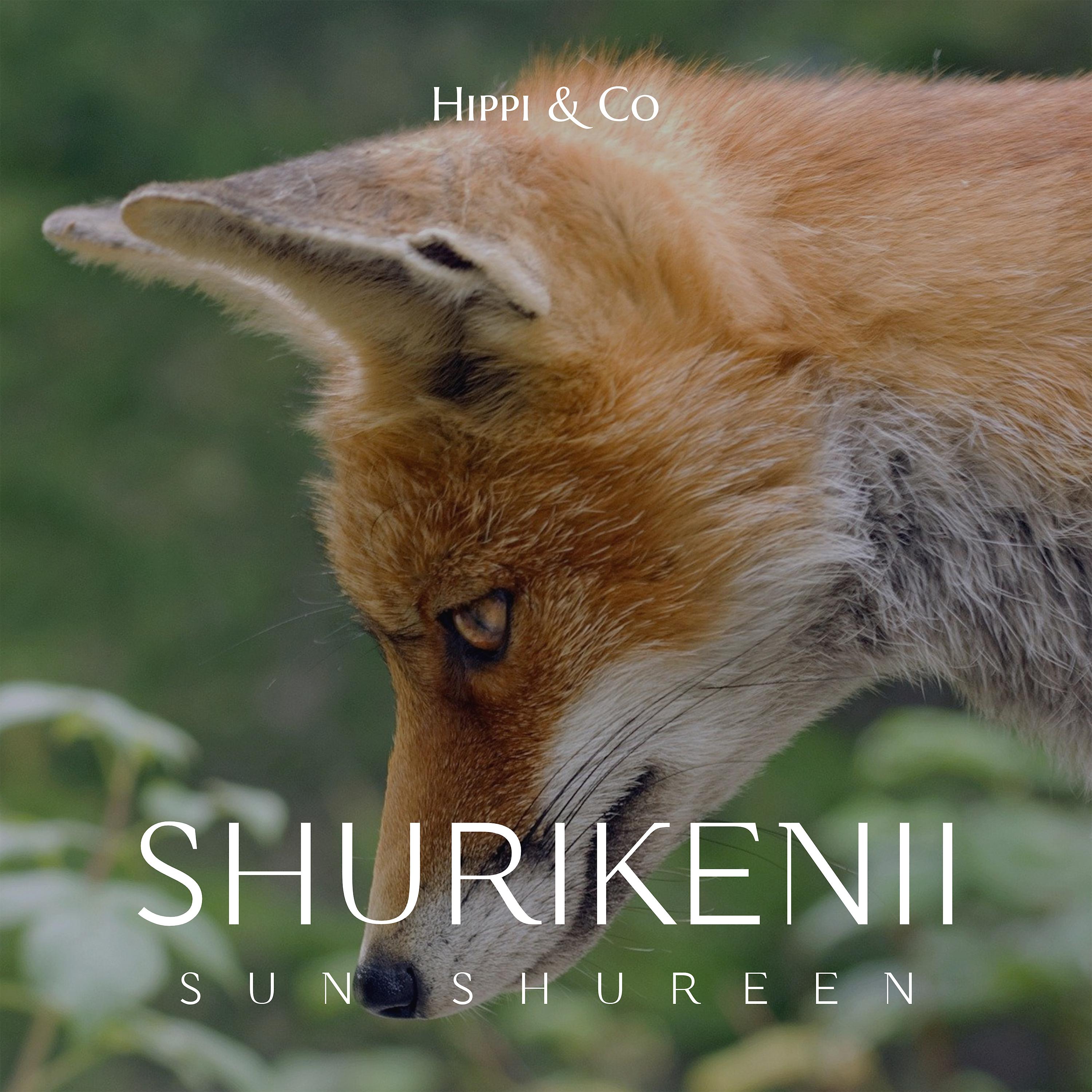 Постер альбома Shurikenii sun Shureen