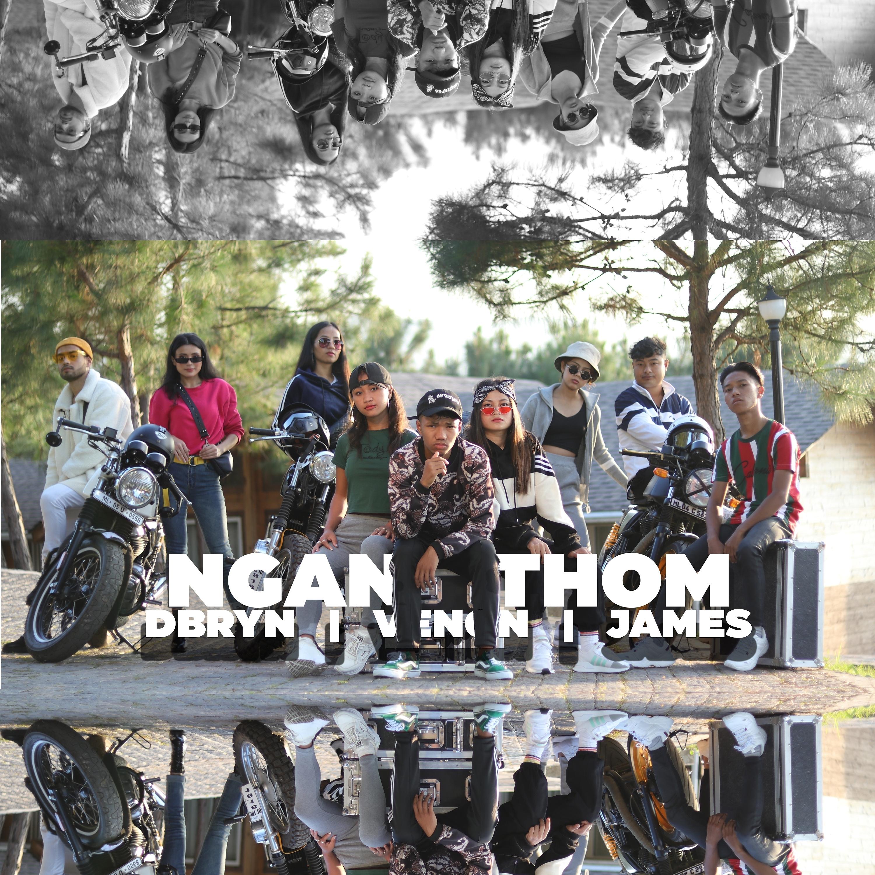 Постер альбома Ngan Thom