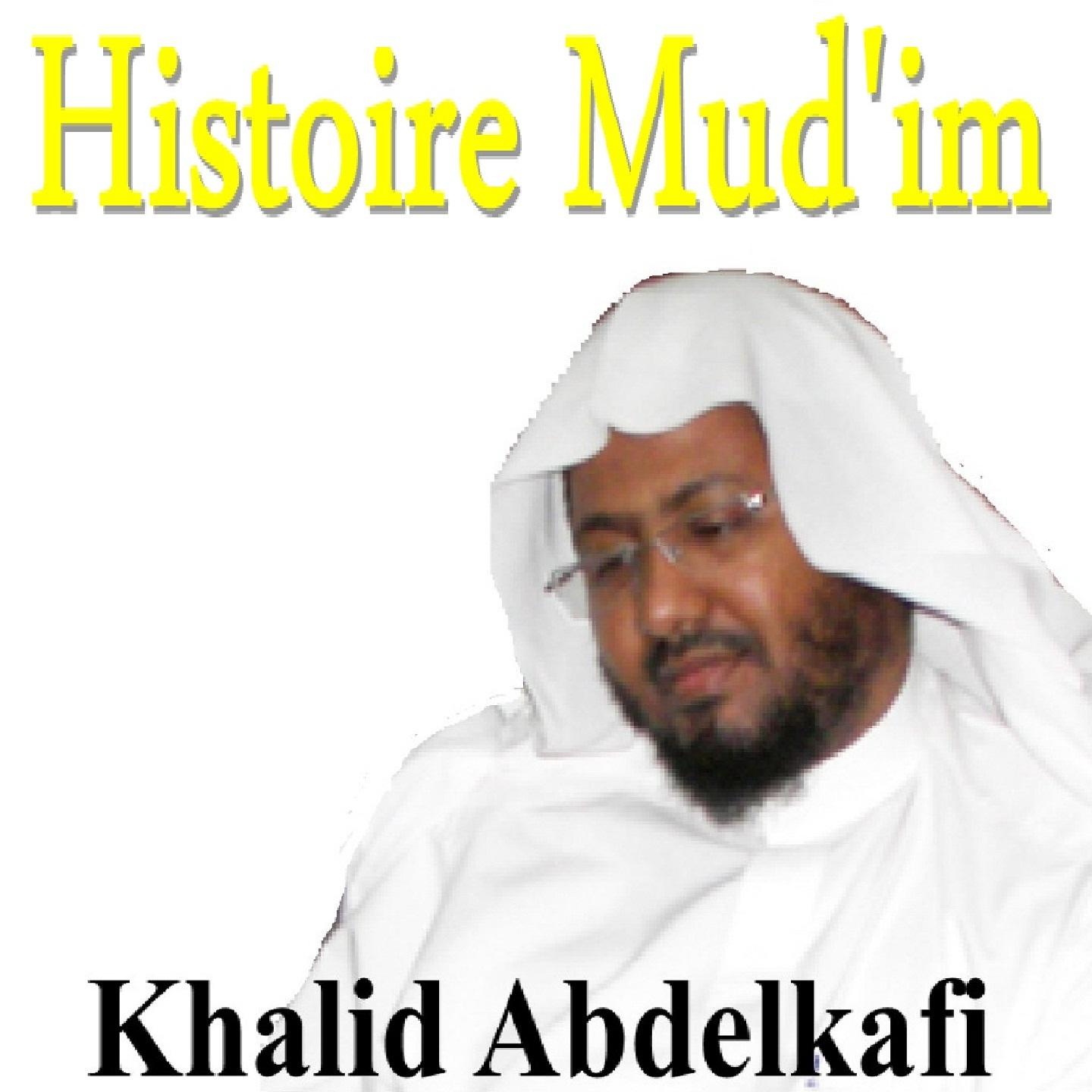 Постер альбома Histoire Mud'im