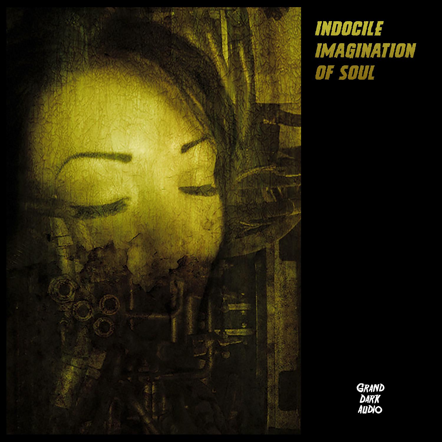 Постер альбома Imagination of Soul