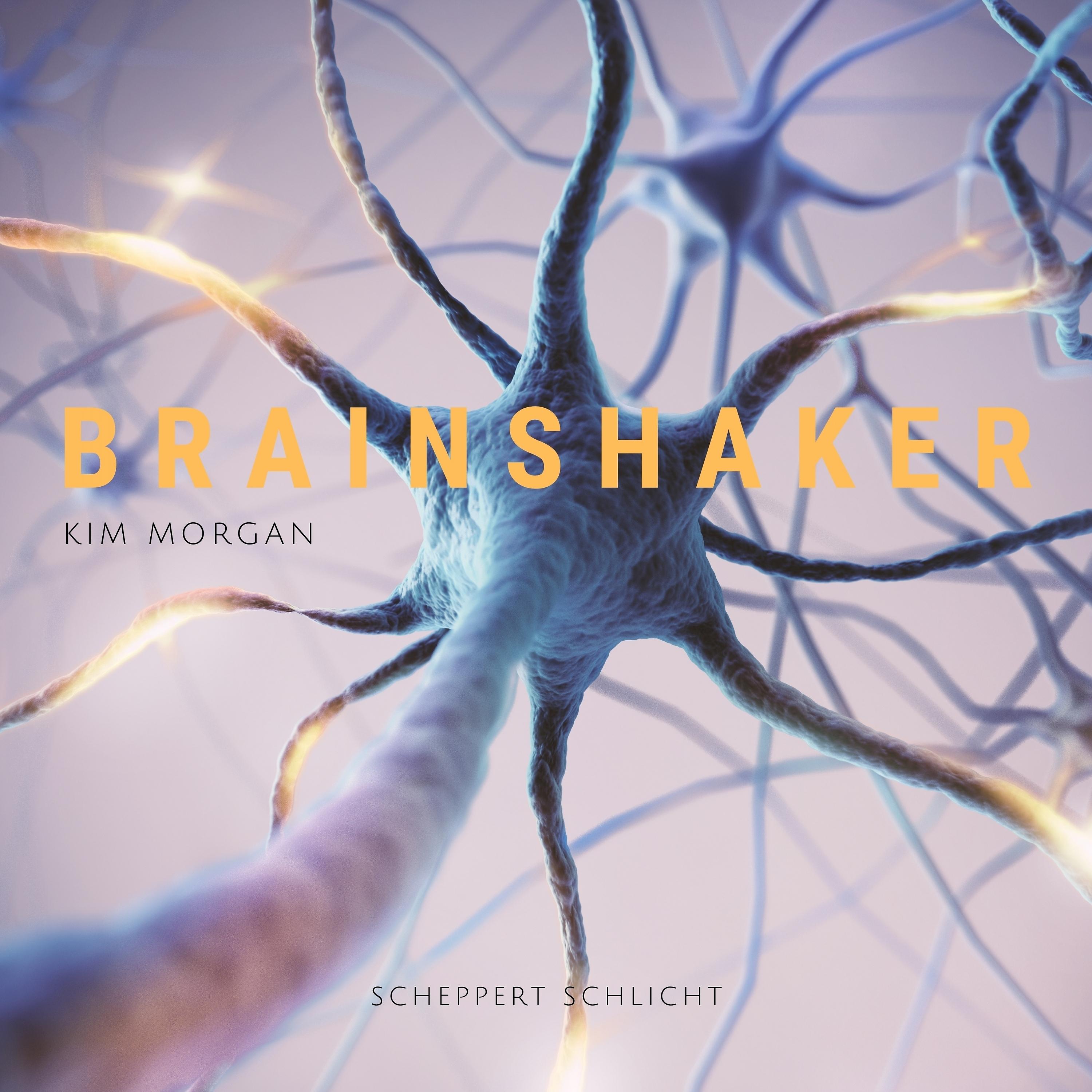 Постер альбома Brainshaker