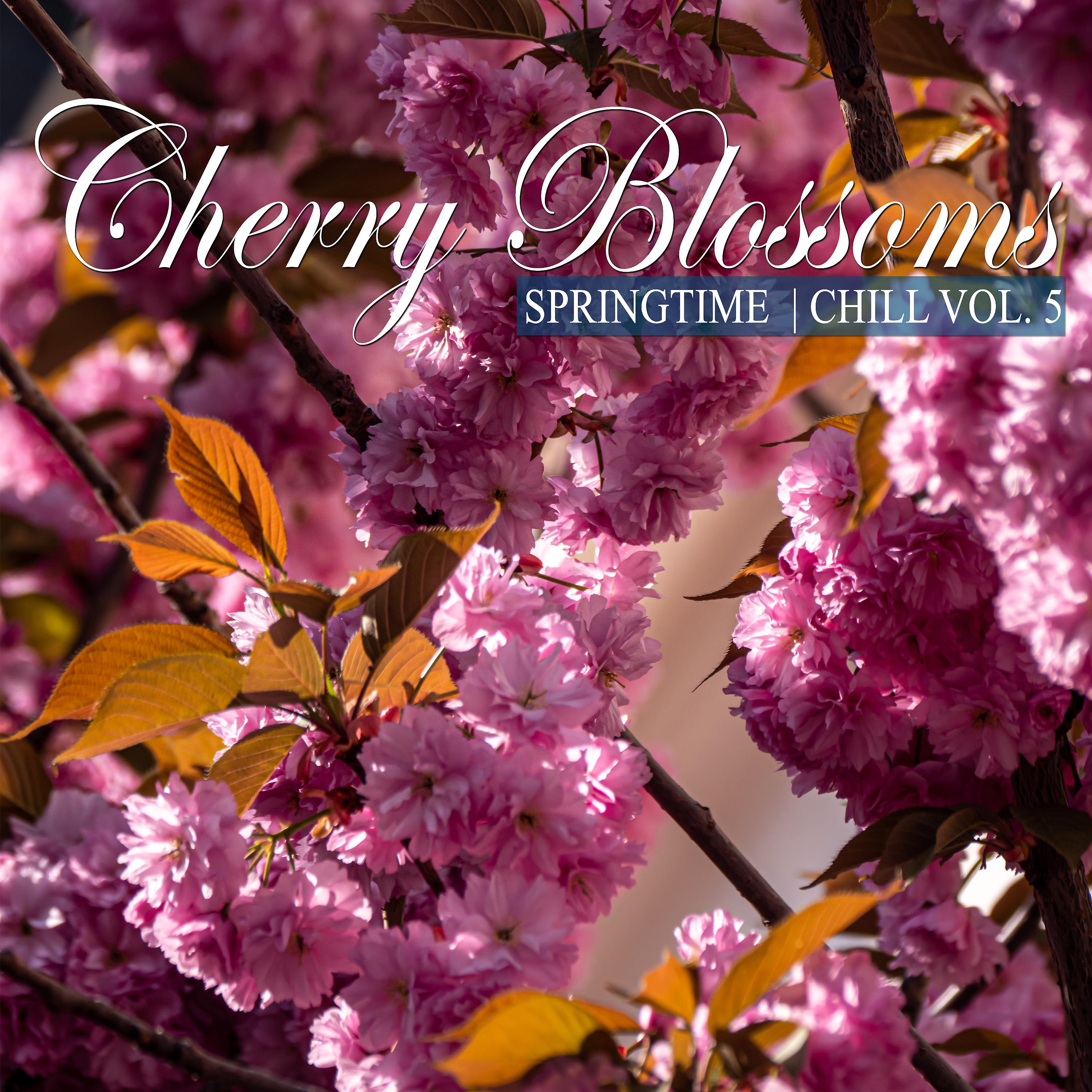 Постер альбома Cherry Blossoms Springtime Chill, Vol. 5