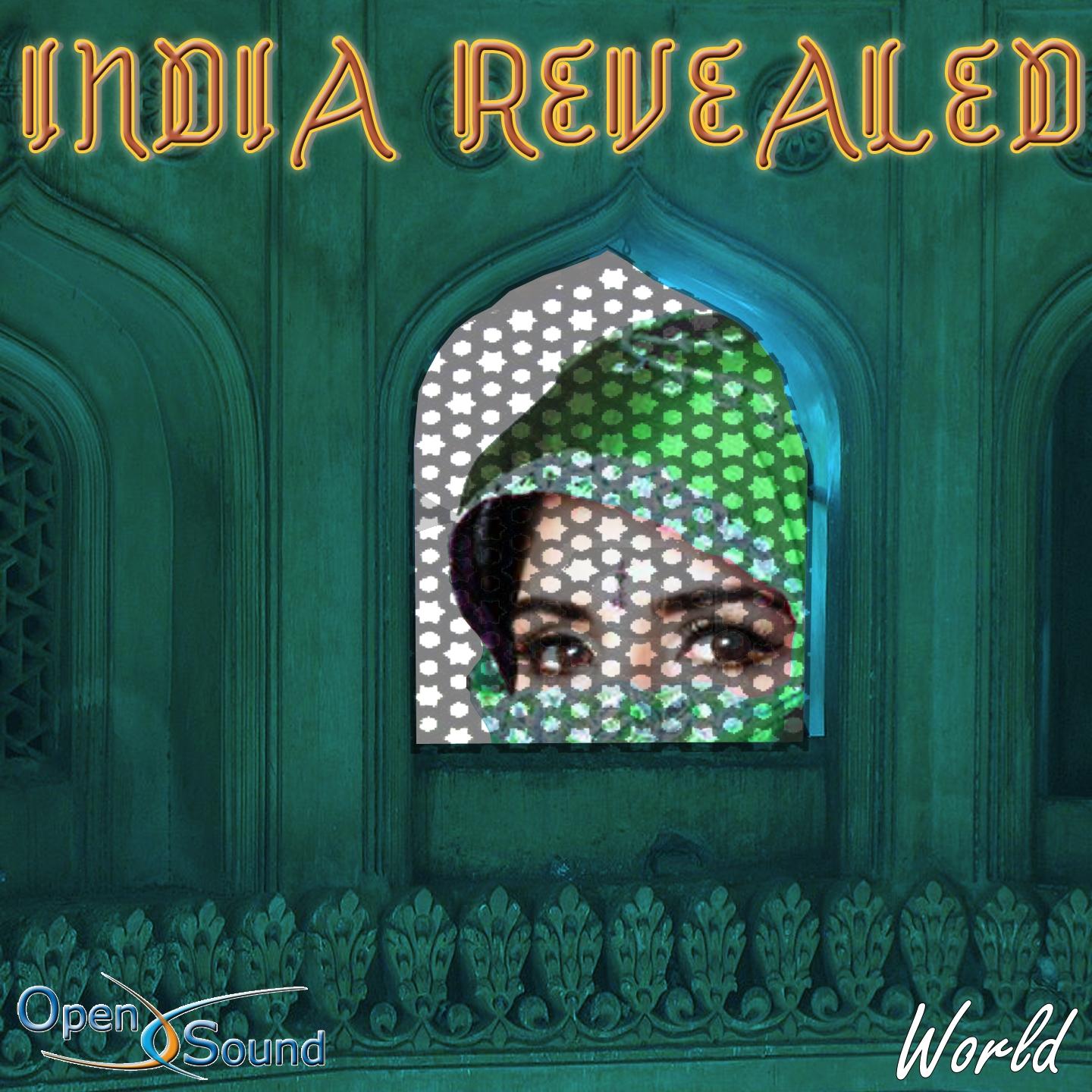 Постер альбома India Revealed