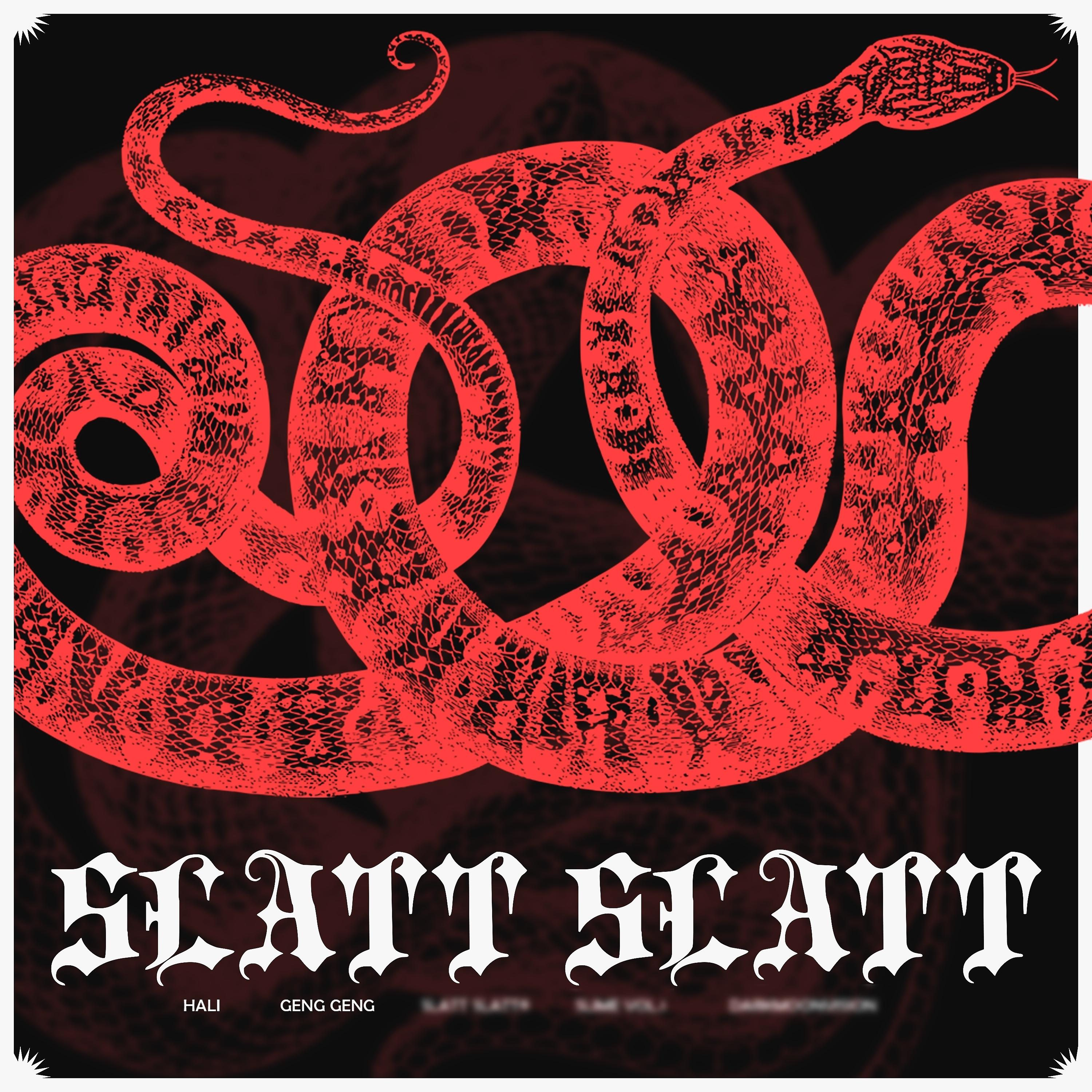 Постер альбома Slatt Slatt