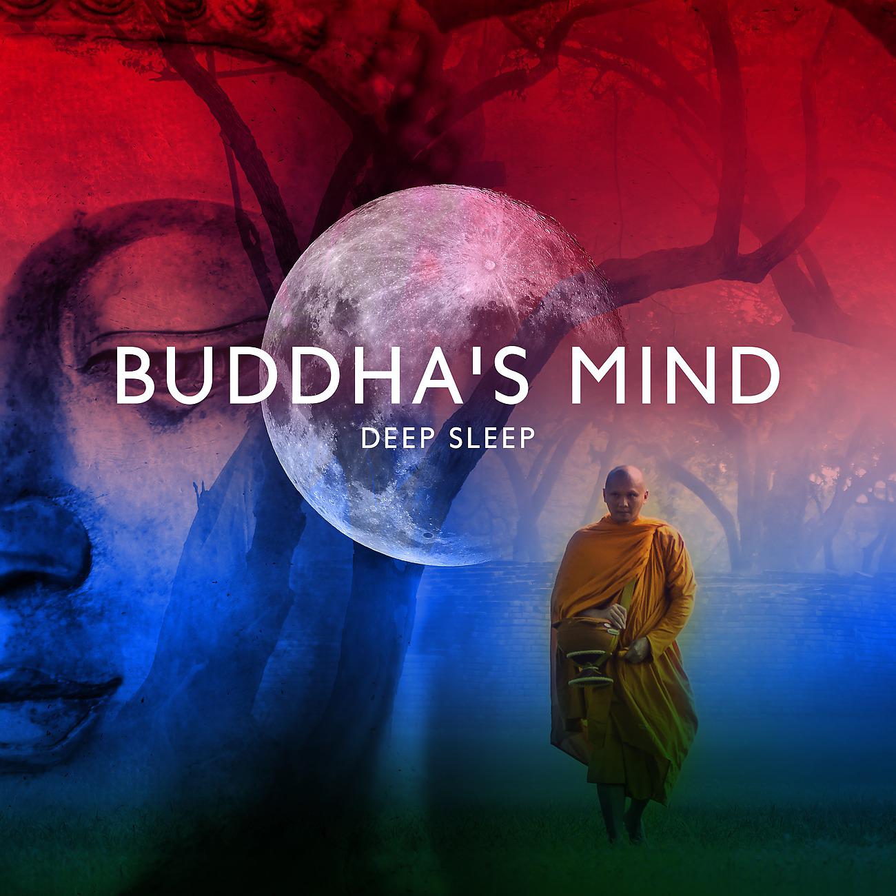 Постер альбома Buddha's Mind Deep Sleep