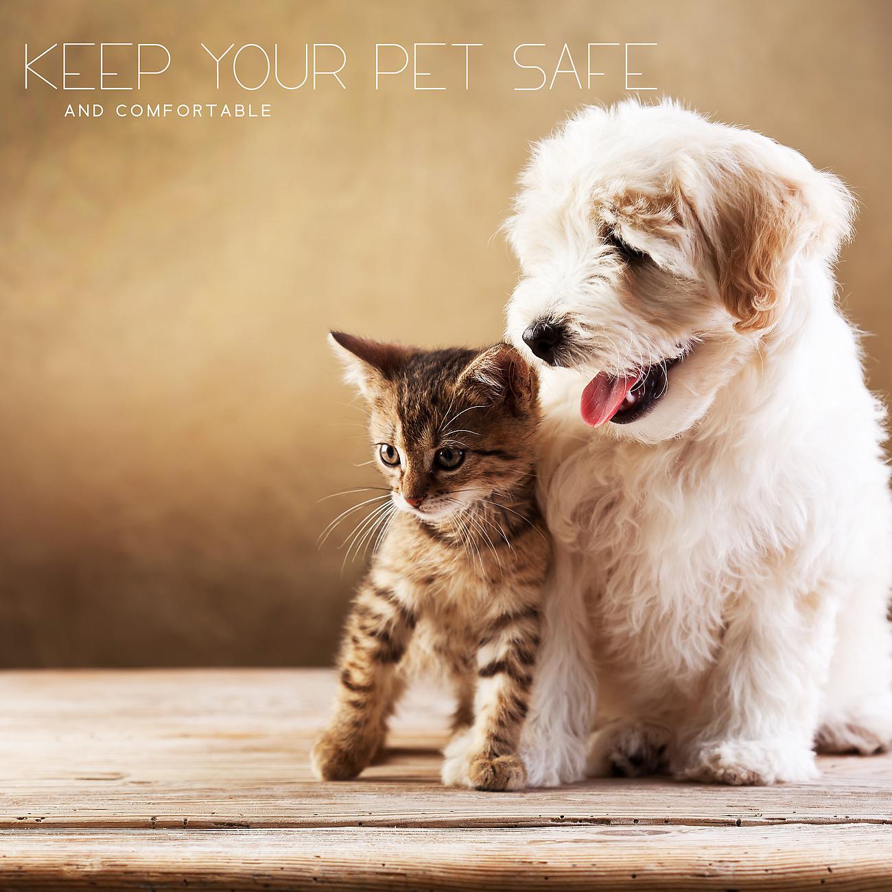 Постер альбома Keep Your Pet Safe and Comfortable