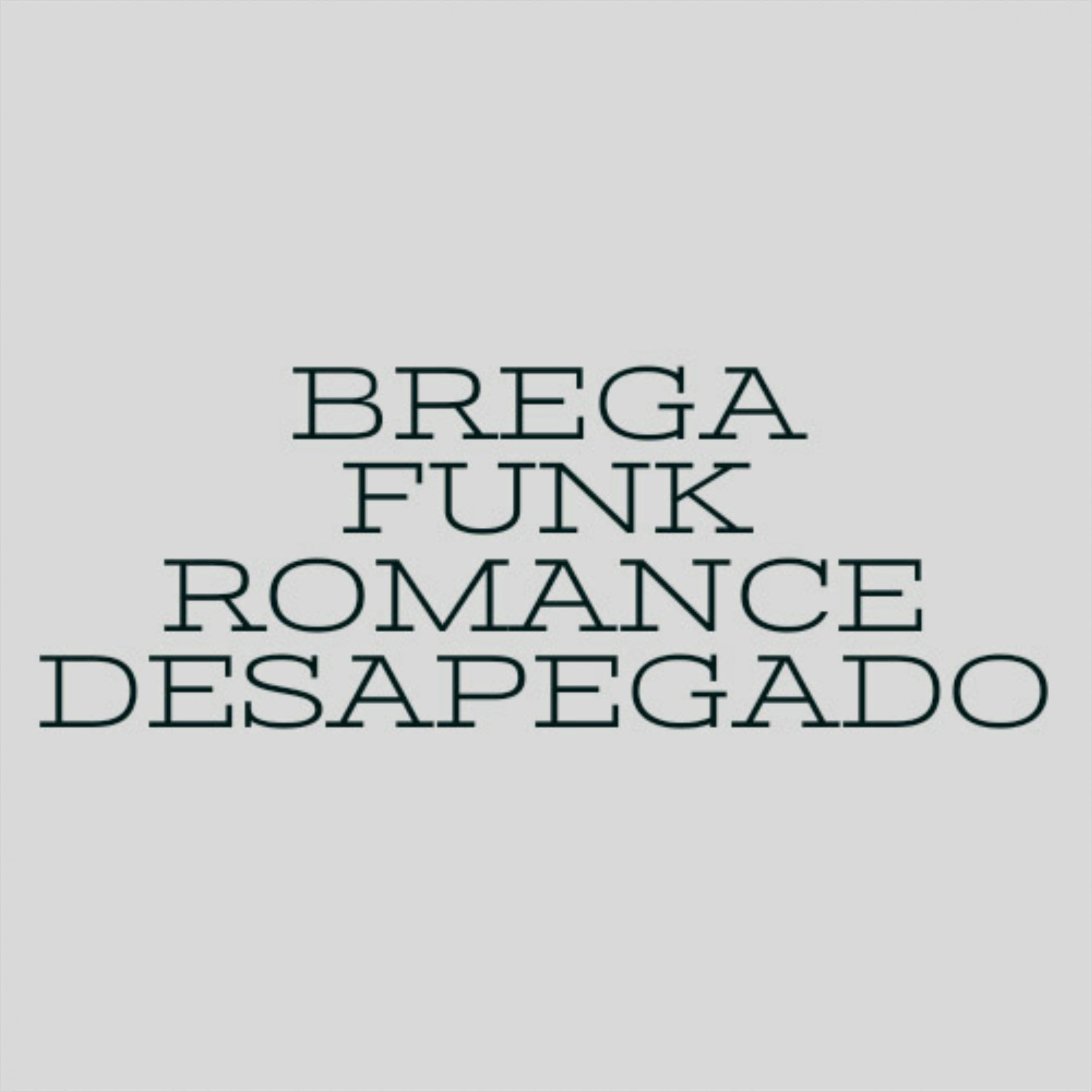 Постер альбома BREGA FUNK ROMANCE DESAPEGADO