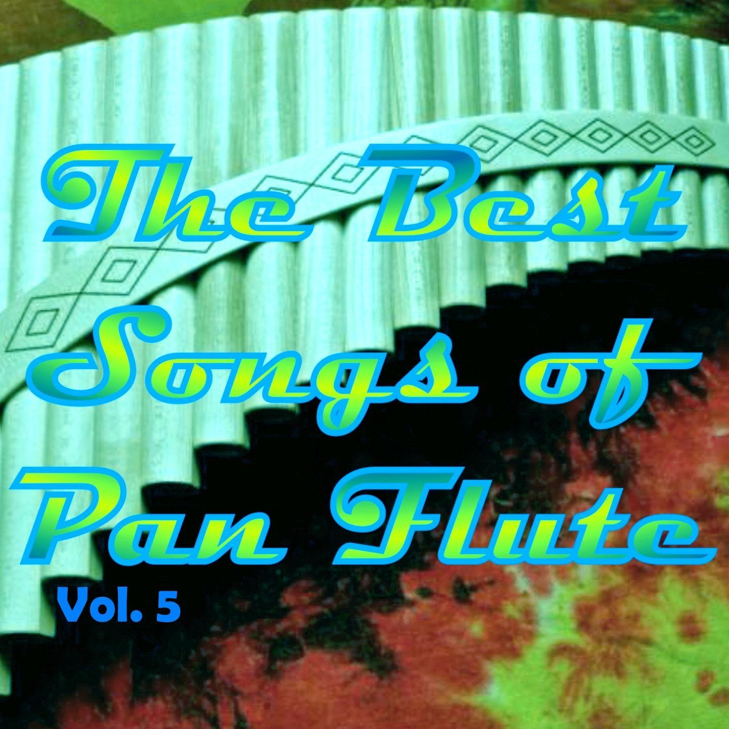 Постер альбома The Best Songs of Pan Flute, Vol. 5