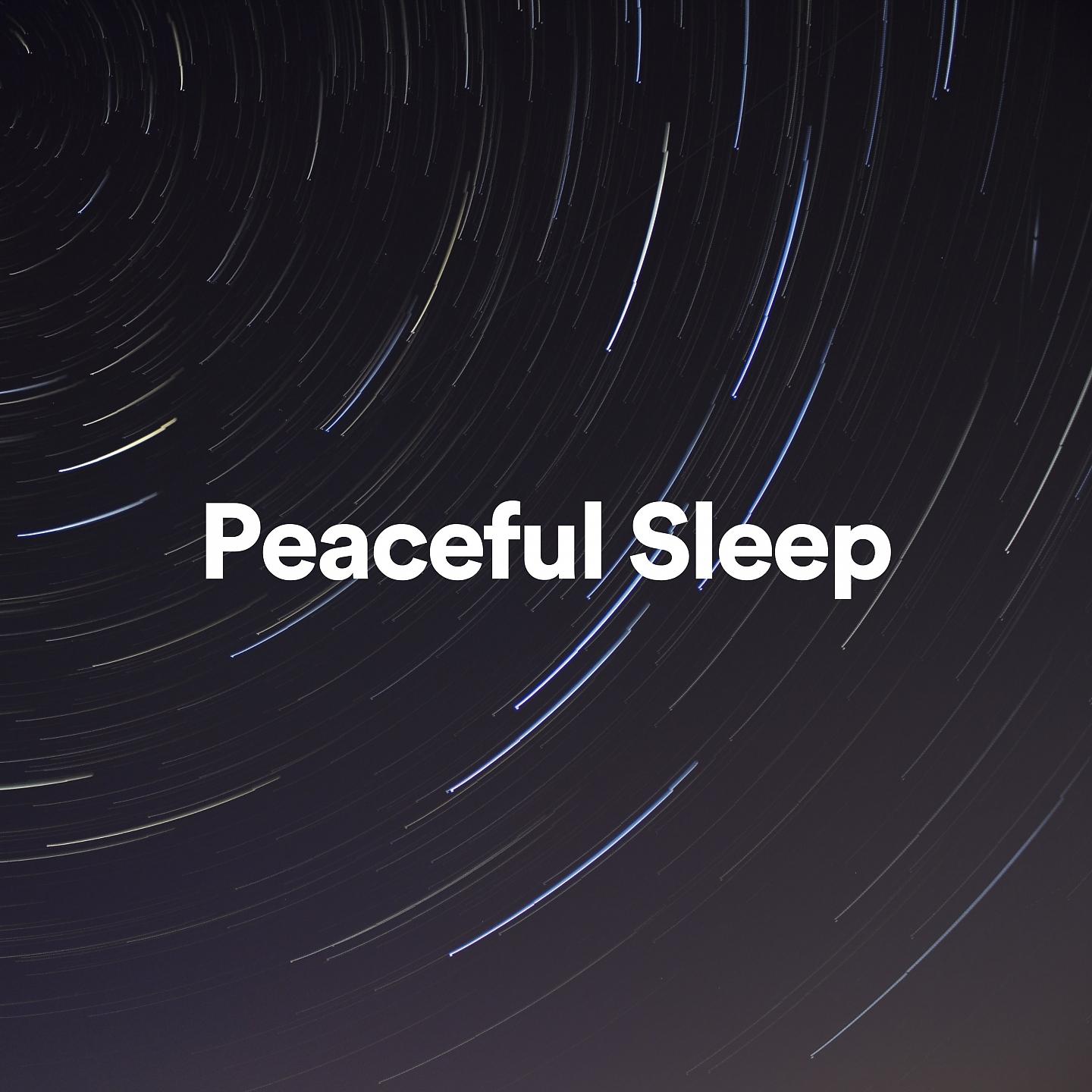 Постер альбома Peaceful Sleep
