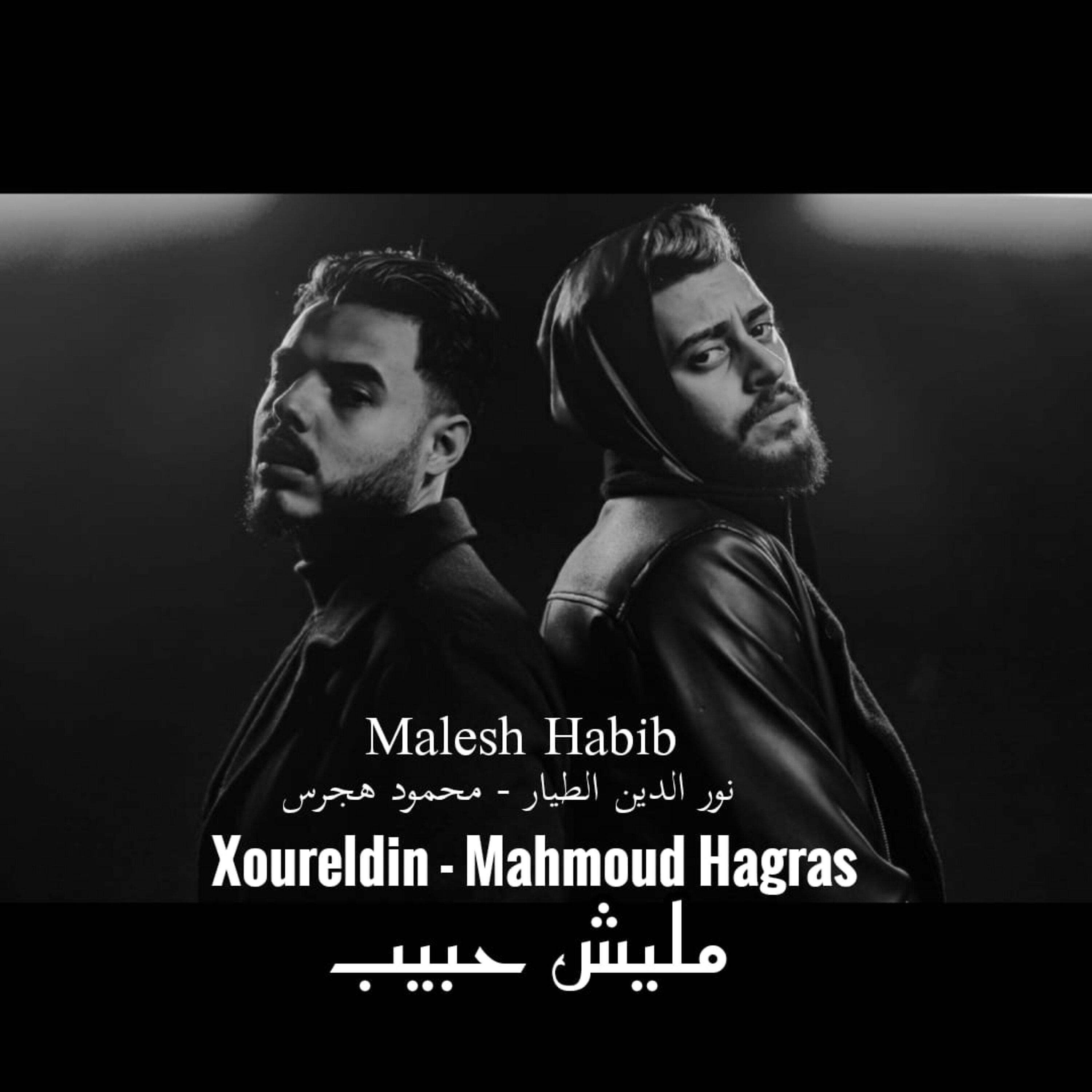 Постер альбома Malesh Habib