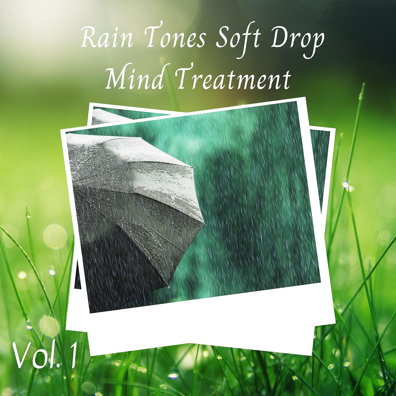 Постер альбома Rain Tones Soft Drop Mind Treatment Vol. 1