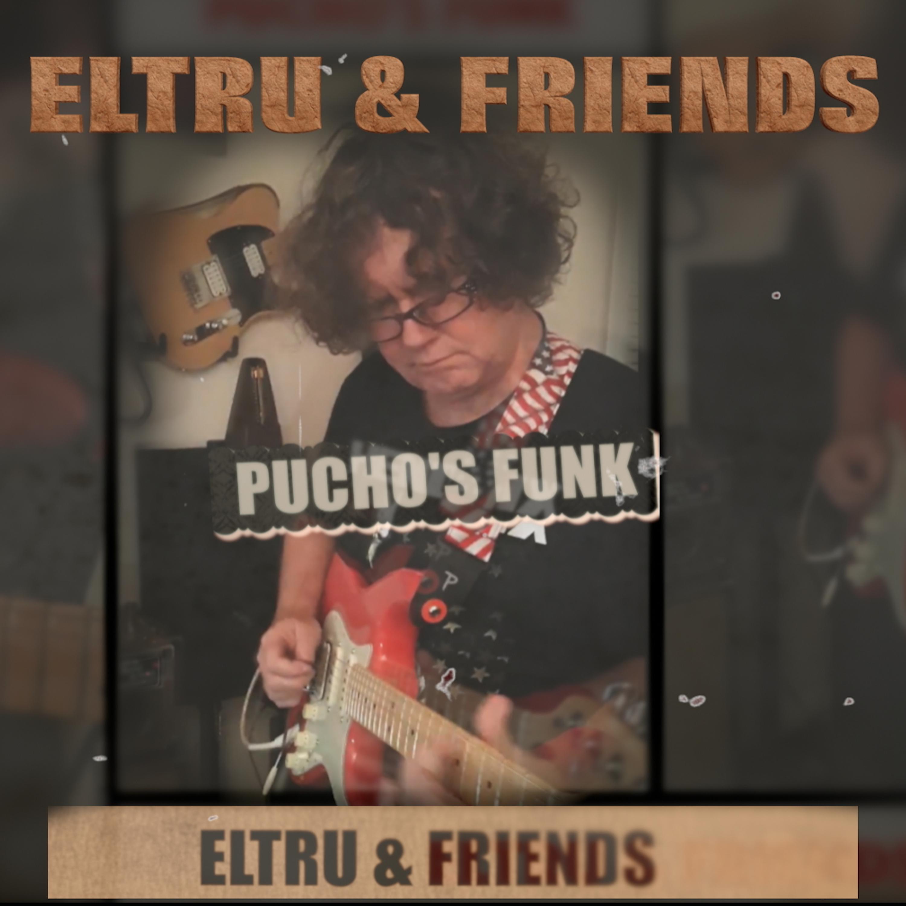 Постер альбома Pucho's Funk