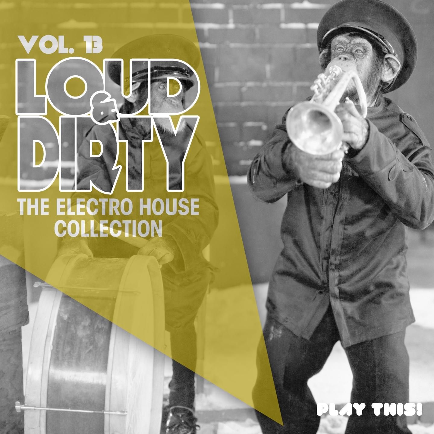 Постер альбома Loud & Dirty, Vol. 13