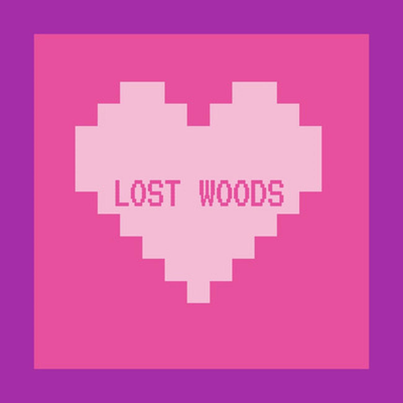 Постер альбома Lost Woods (Zelda Lofi)