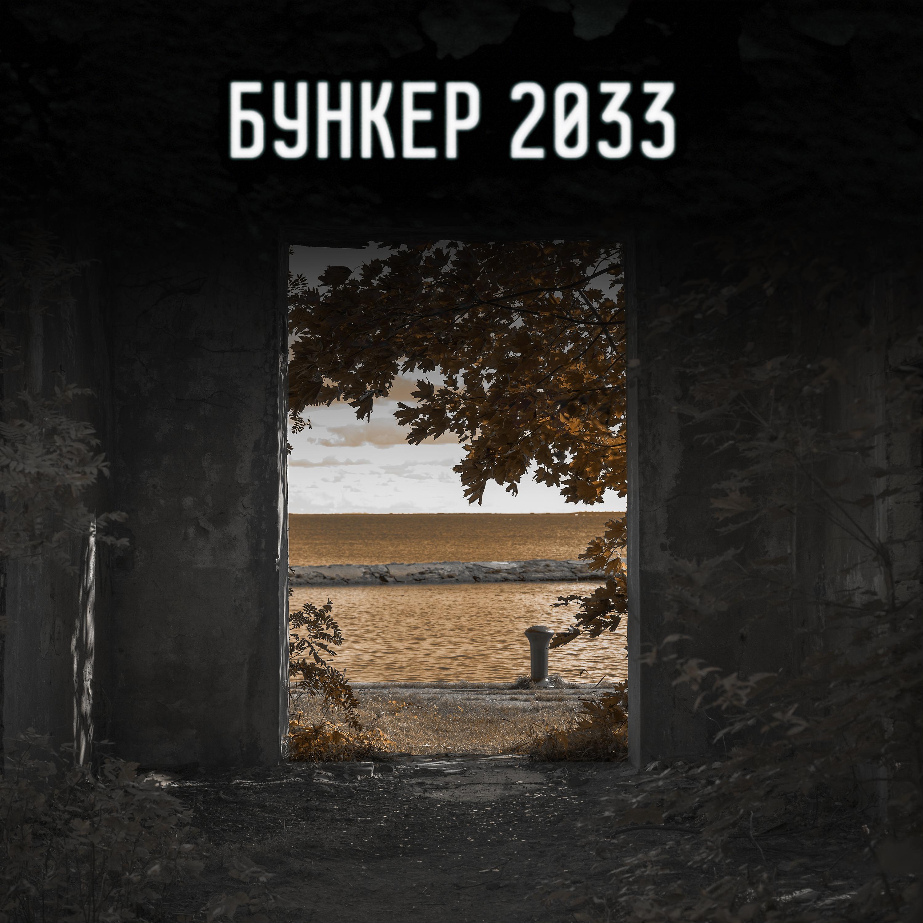 Постер альбома Bunker 2033