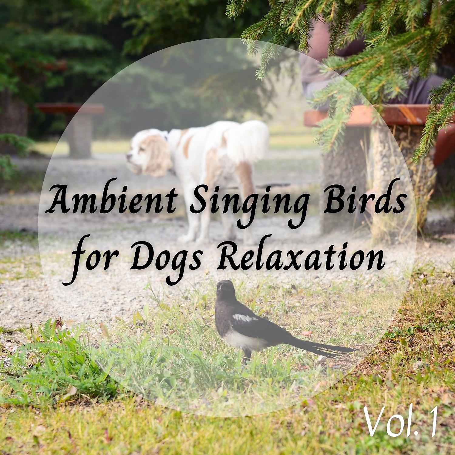 Постер альбома Ambient Singing Birds for Dogs Relaxation Vol. 1