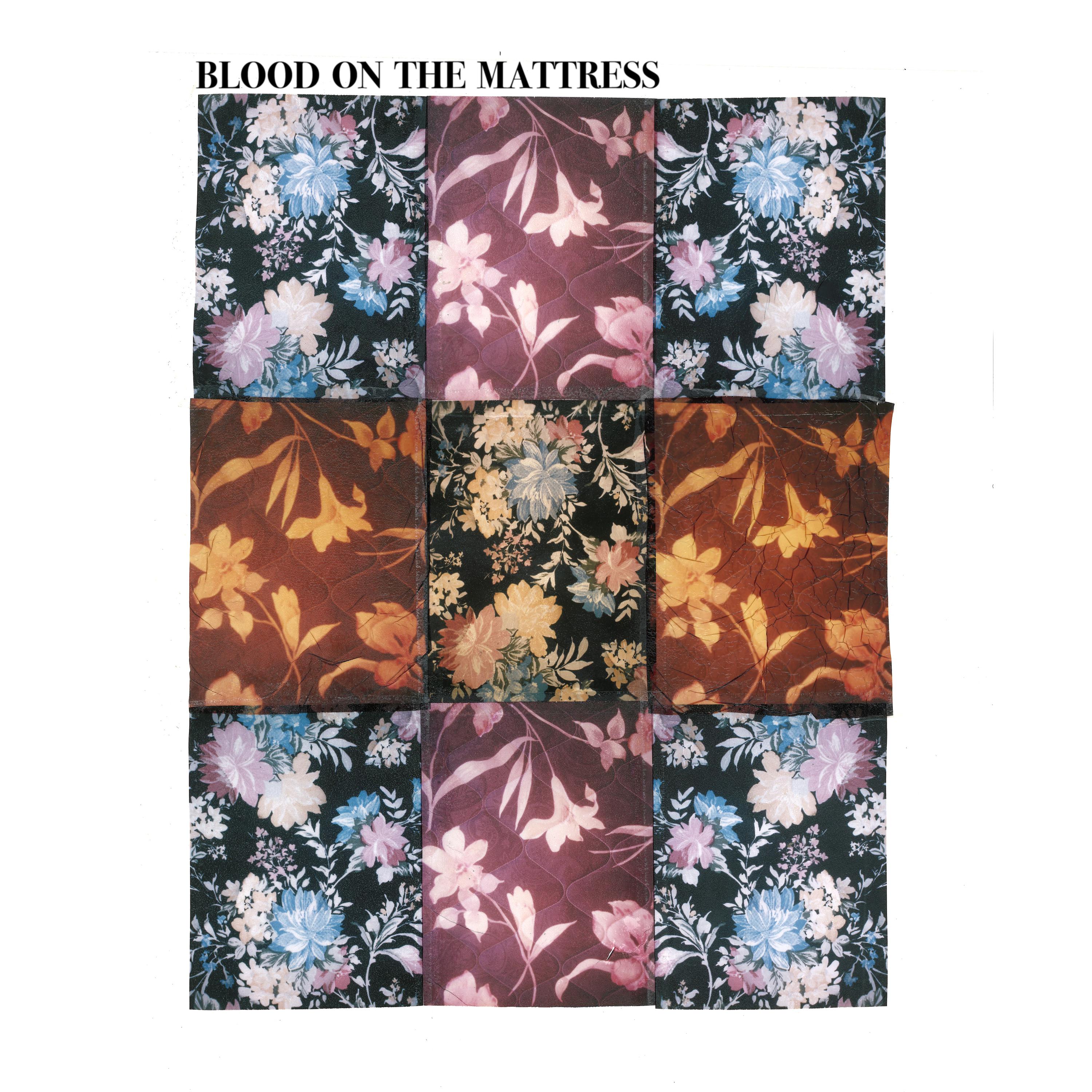 Постер альбома Blood on the Mattress