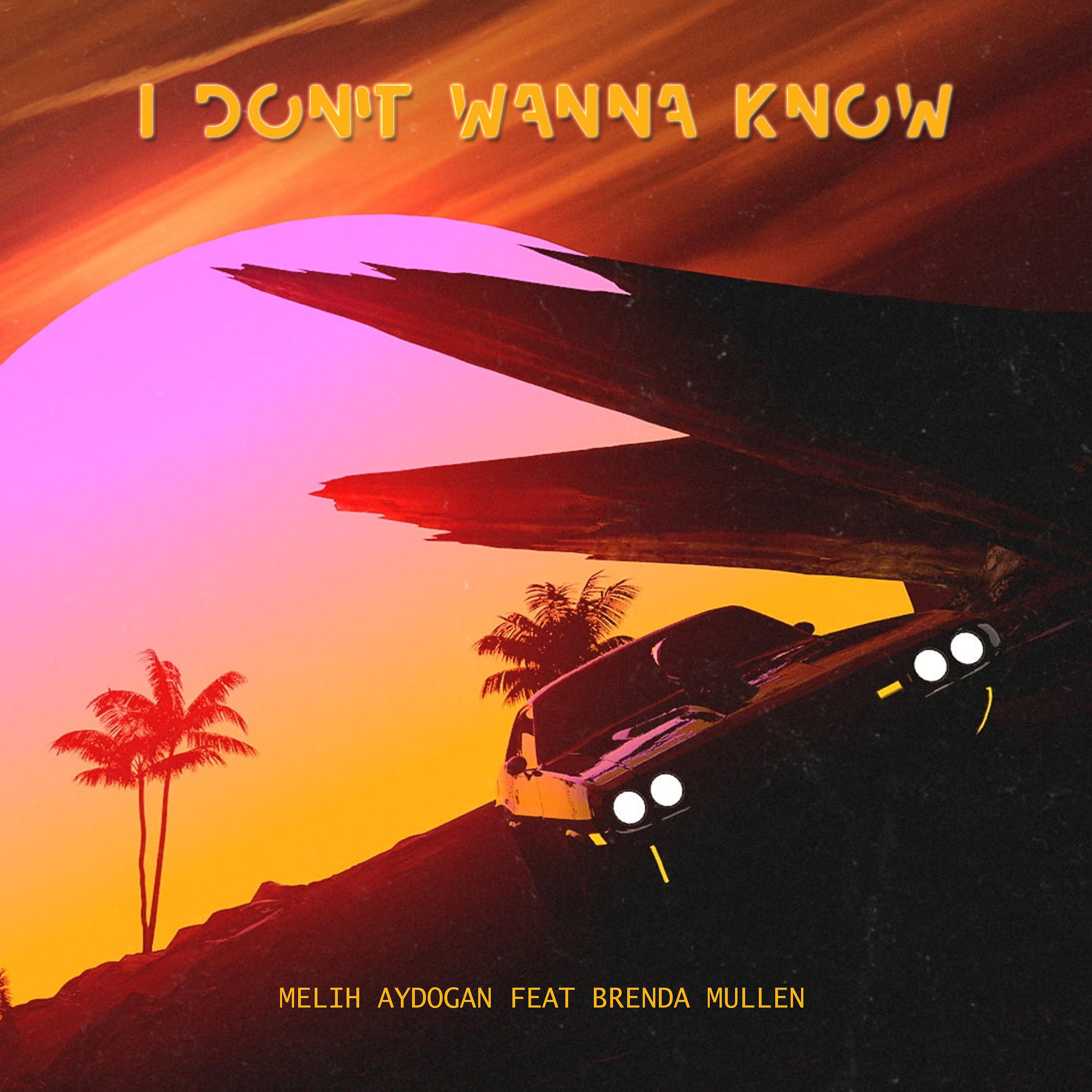 Постер альбома I Don't Wanna Know (feat. Brenda Mullen)