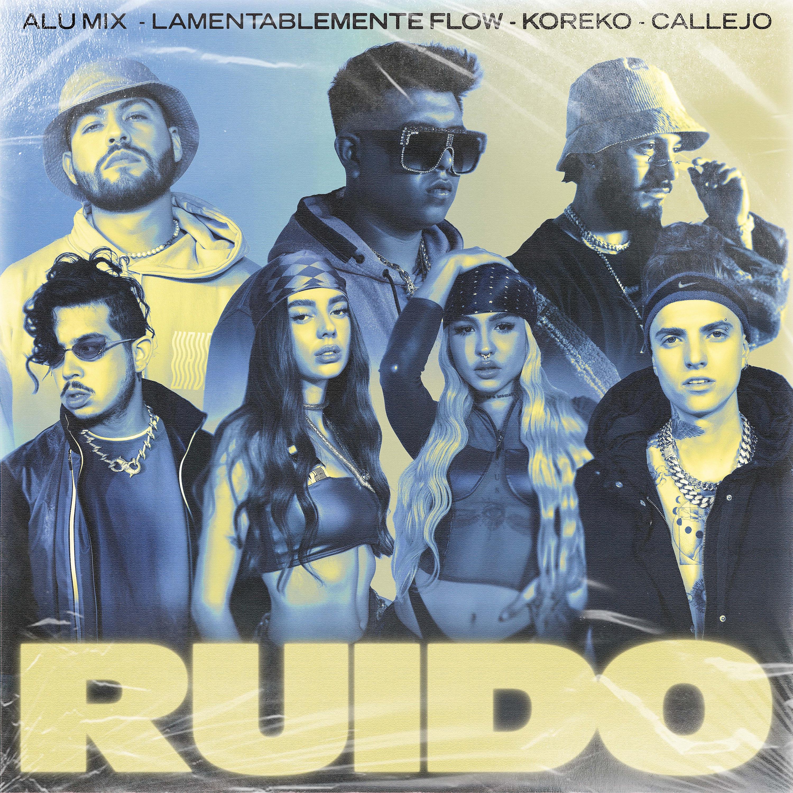 Постер альбома Ruido (feat. Callejo)