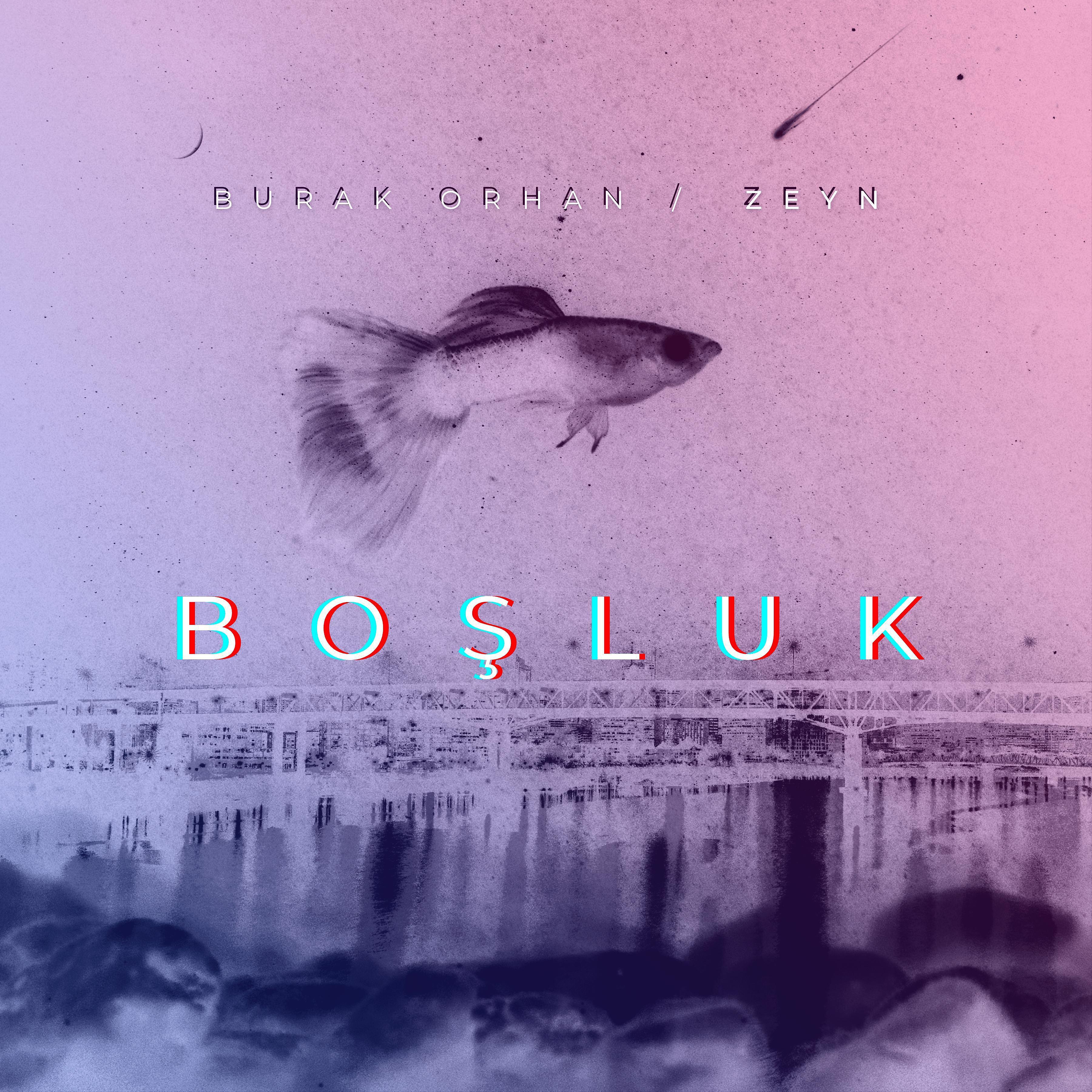Постер альбома Boşluk (feat. Zeyn)