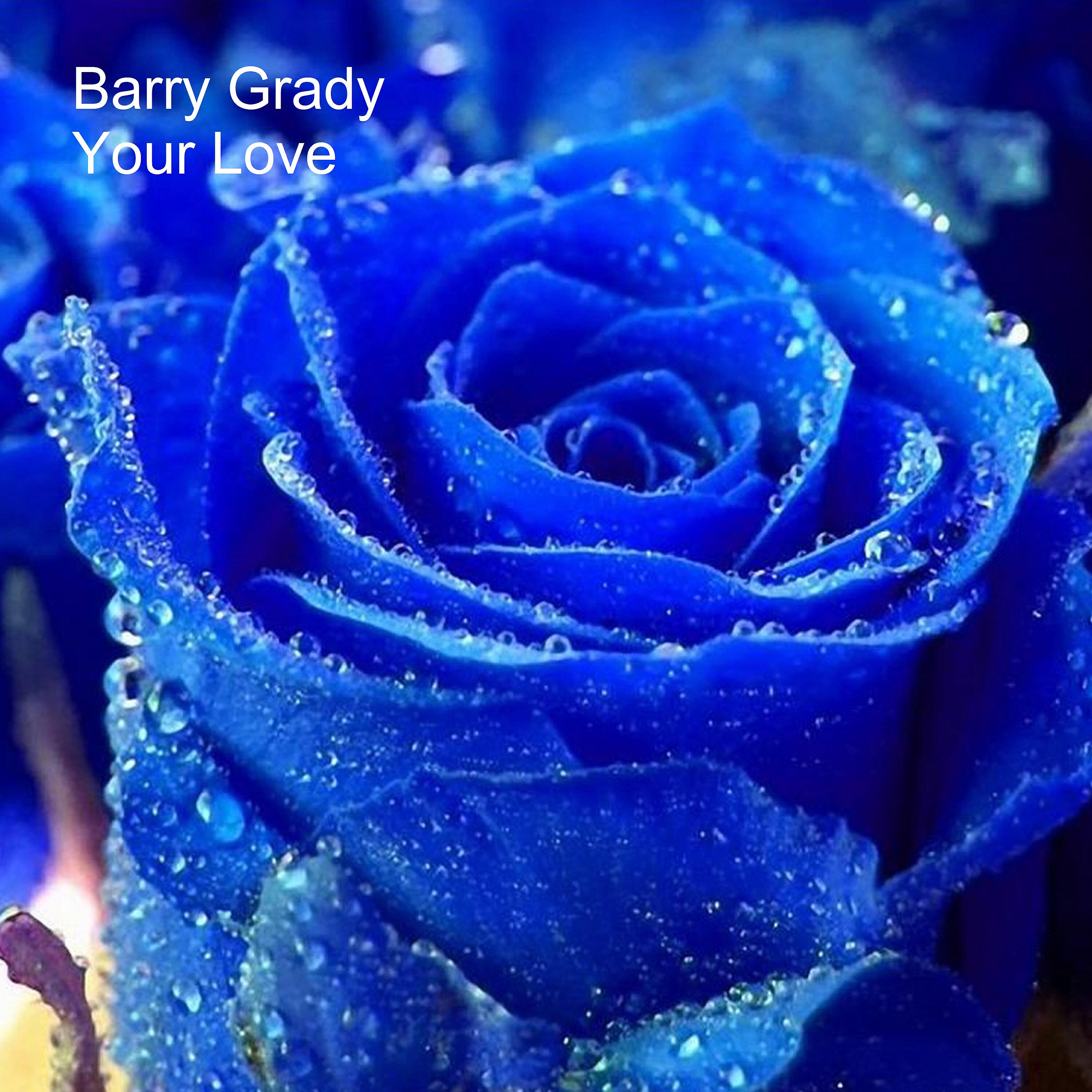 Barry Grady - Blockhead