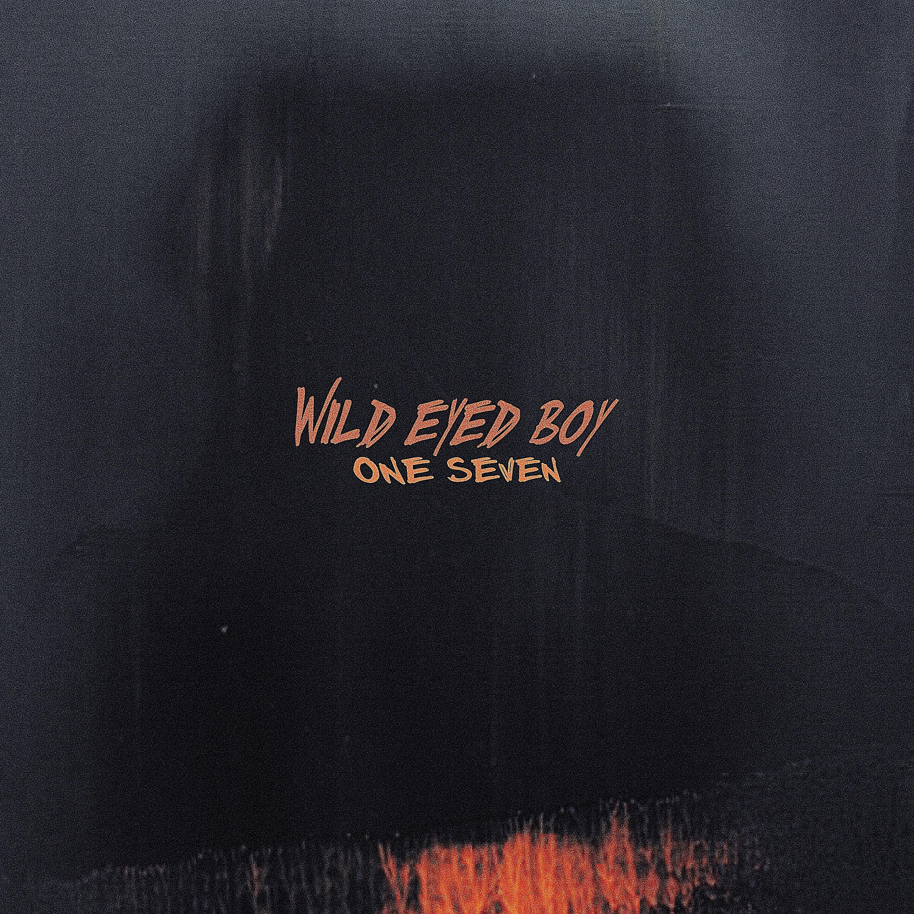 Постер альбома Wild Eyed Boy