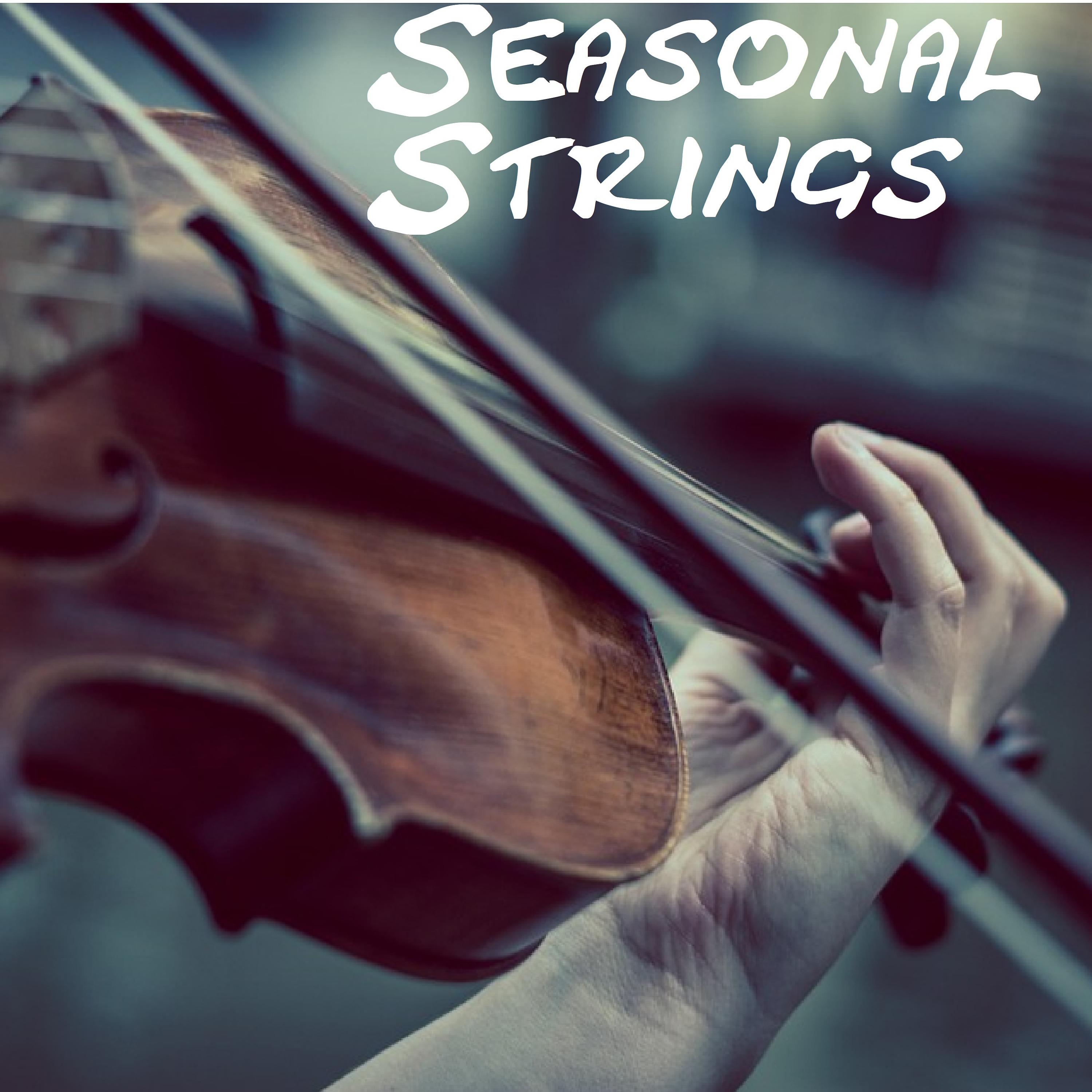 Постер альбома Seasonal Strings