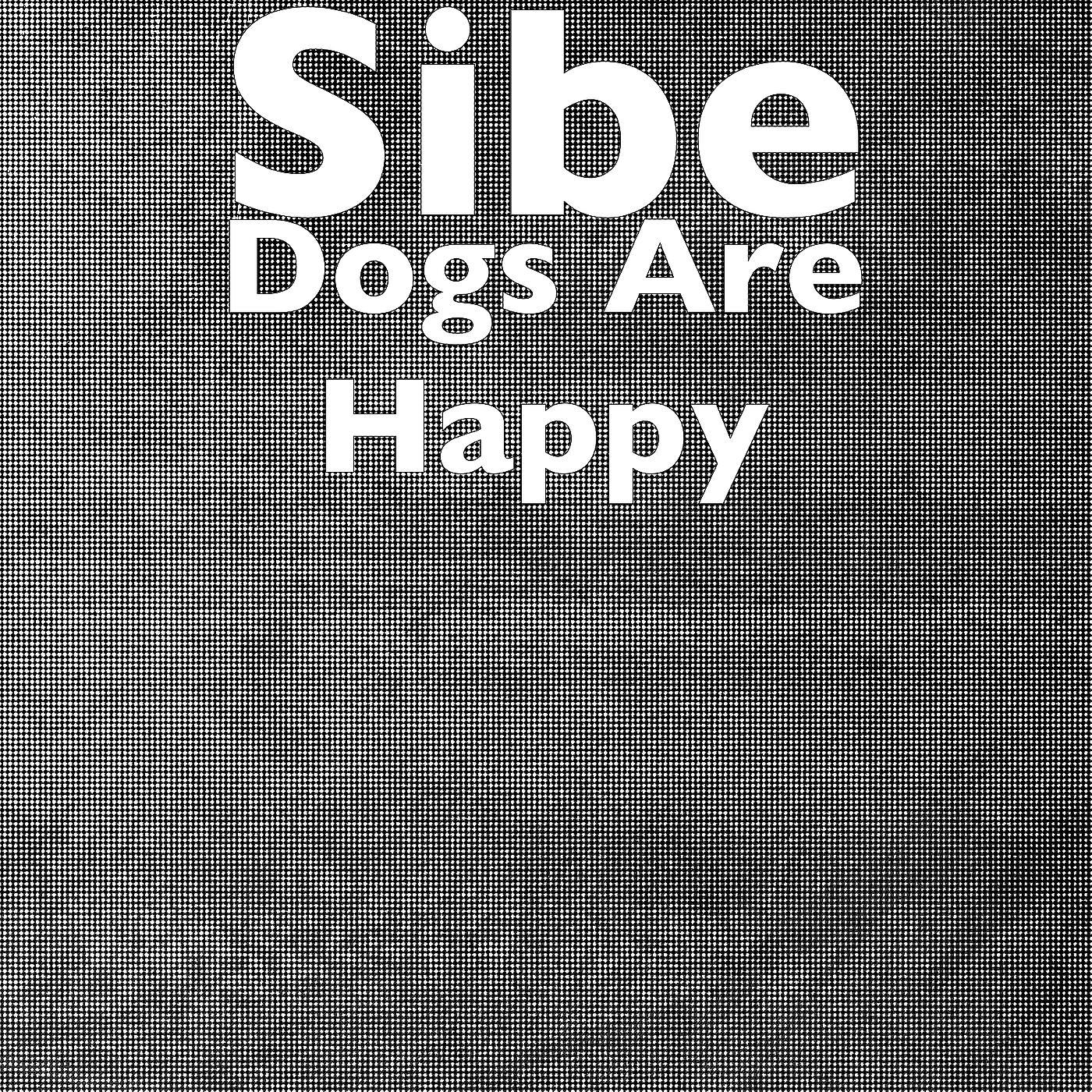 Постер альбома Dogs Are Happy