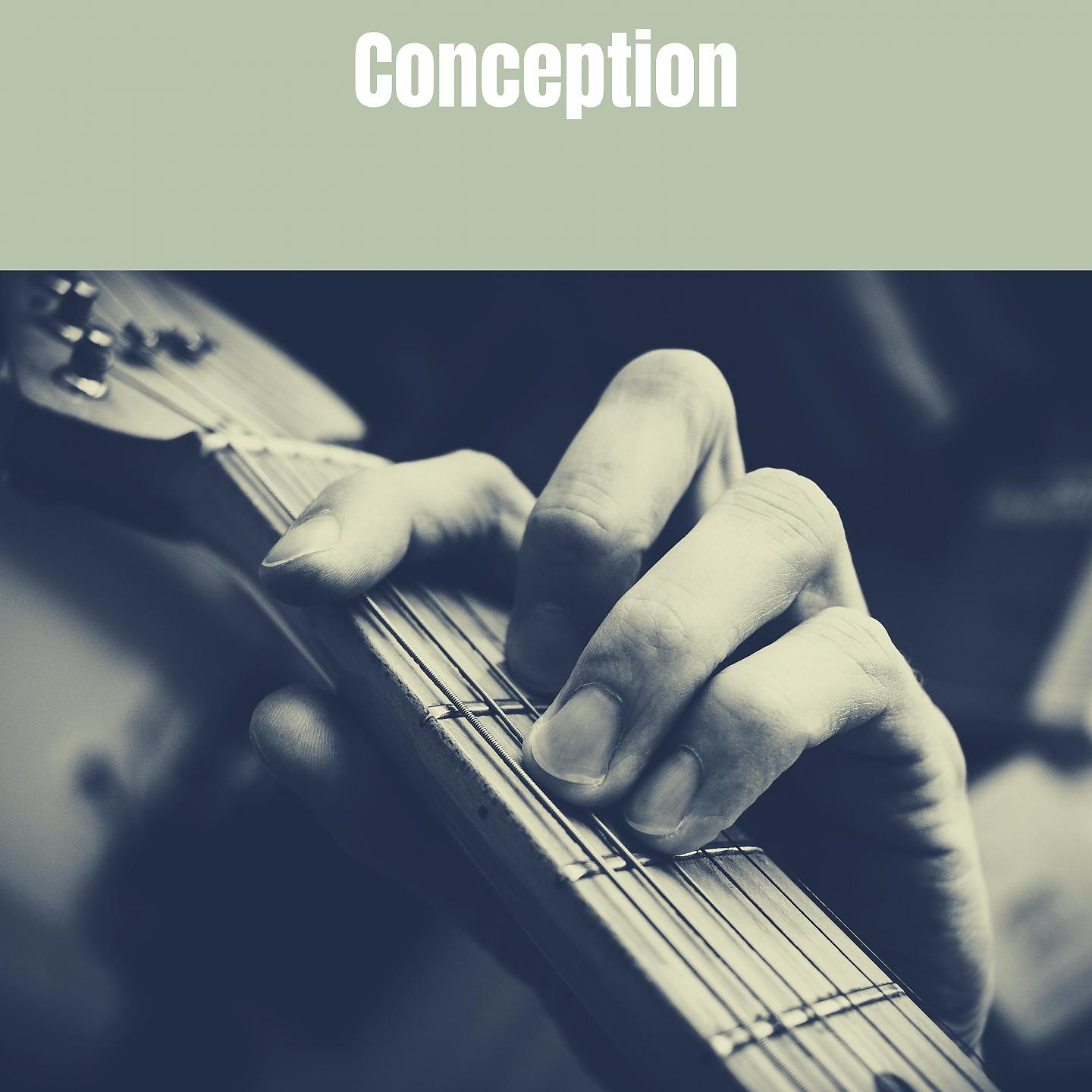Постер альбома Conception