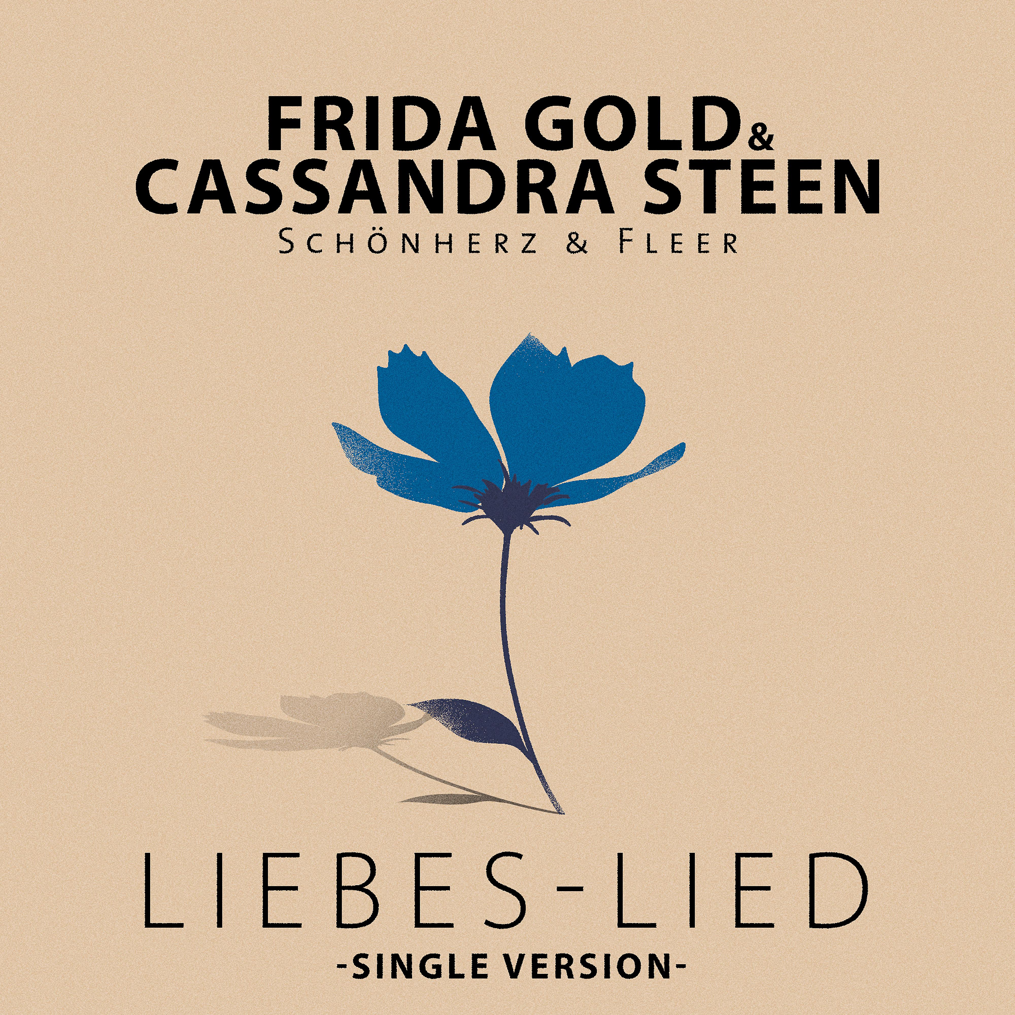 Постер альбома Liebes-Lied (Single-Version)
