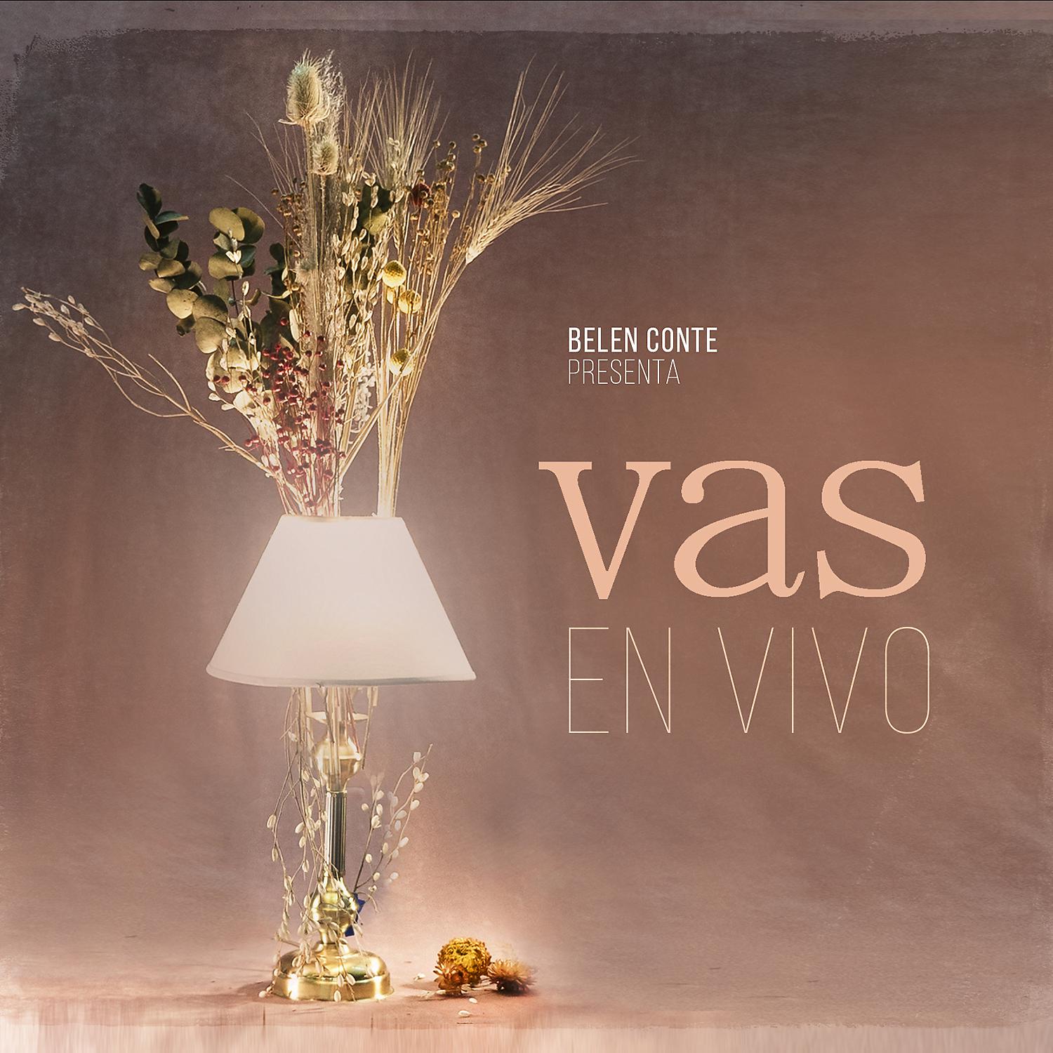 Постер альбома Vas (En Vivo)