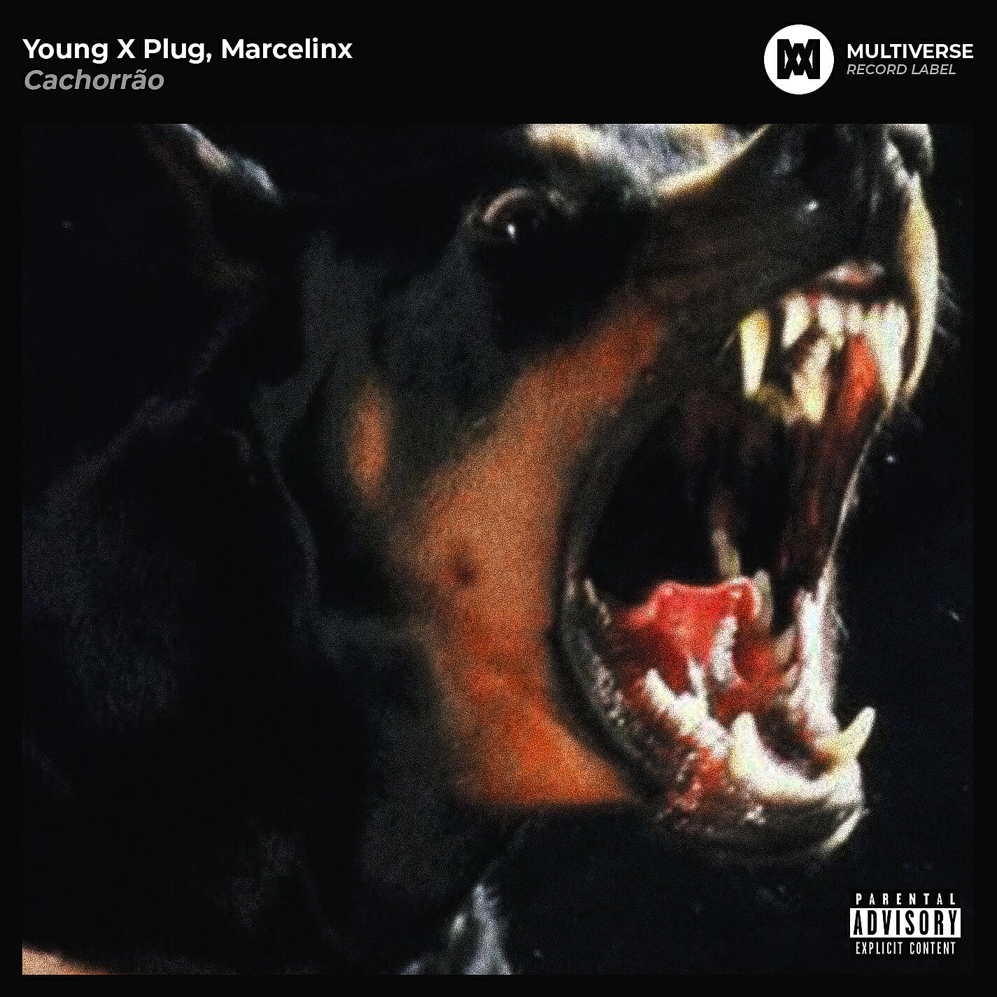 Young X Plug - Cachorrão