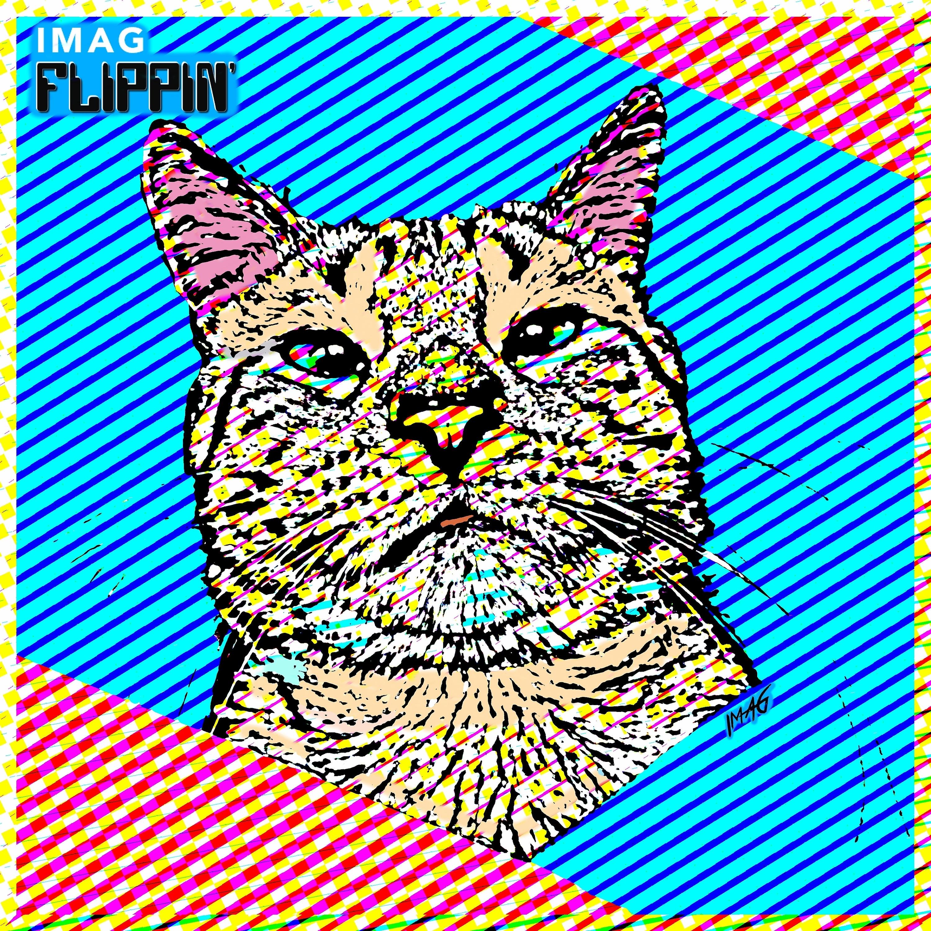 Постер альбома FLIPPIN'