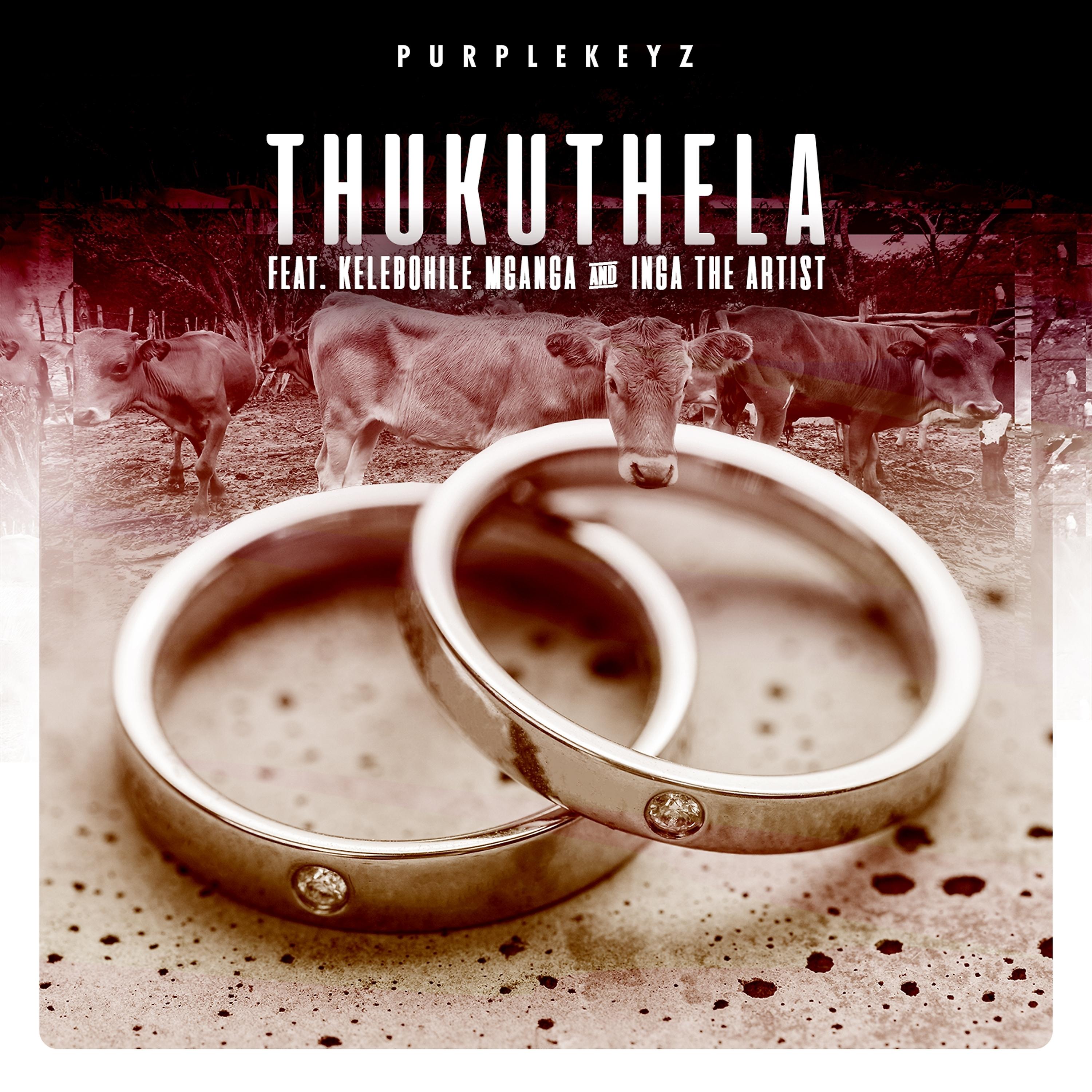Постер альбома Thukuthela
