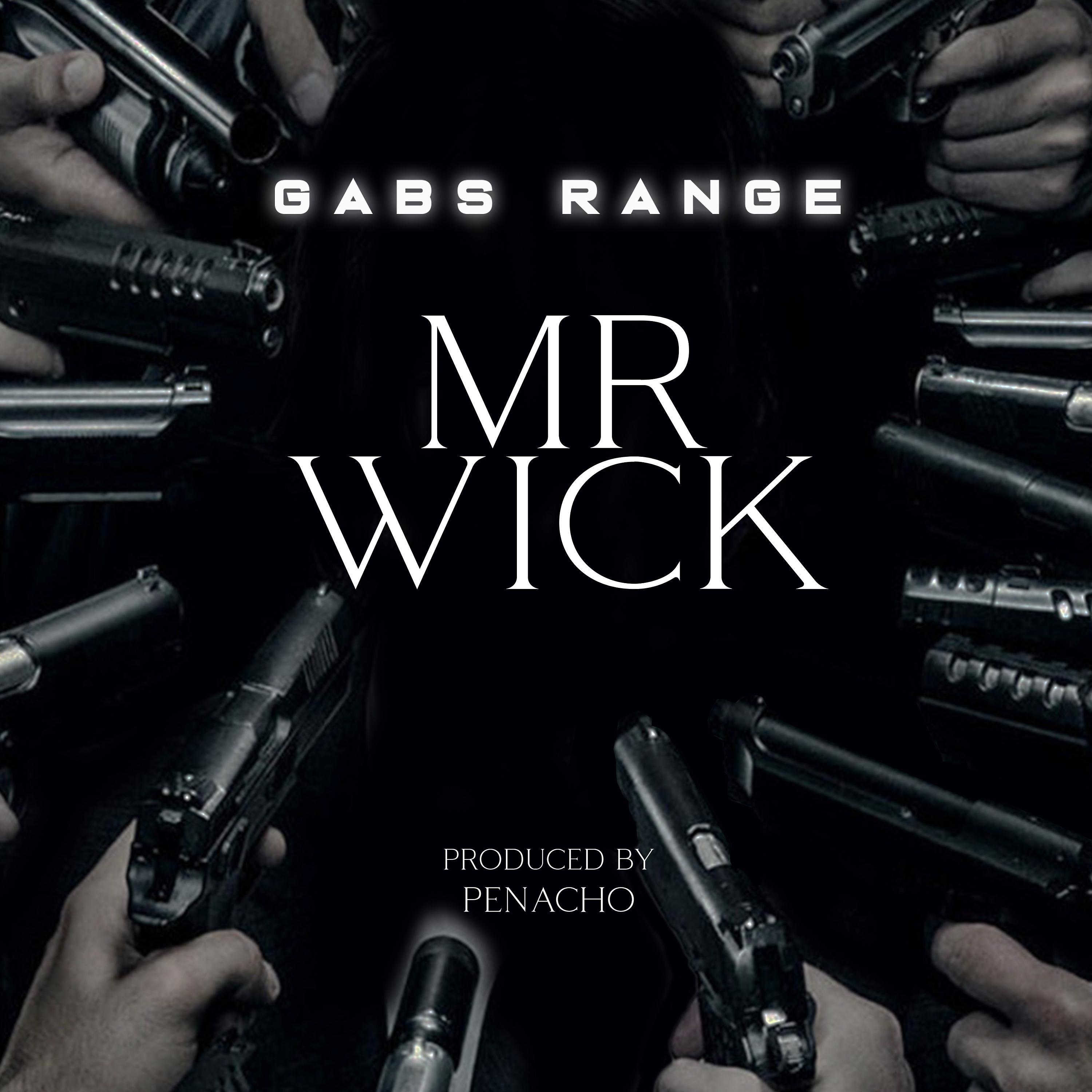 Постер альбома Mr Wick
