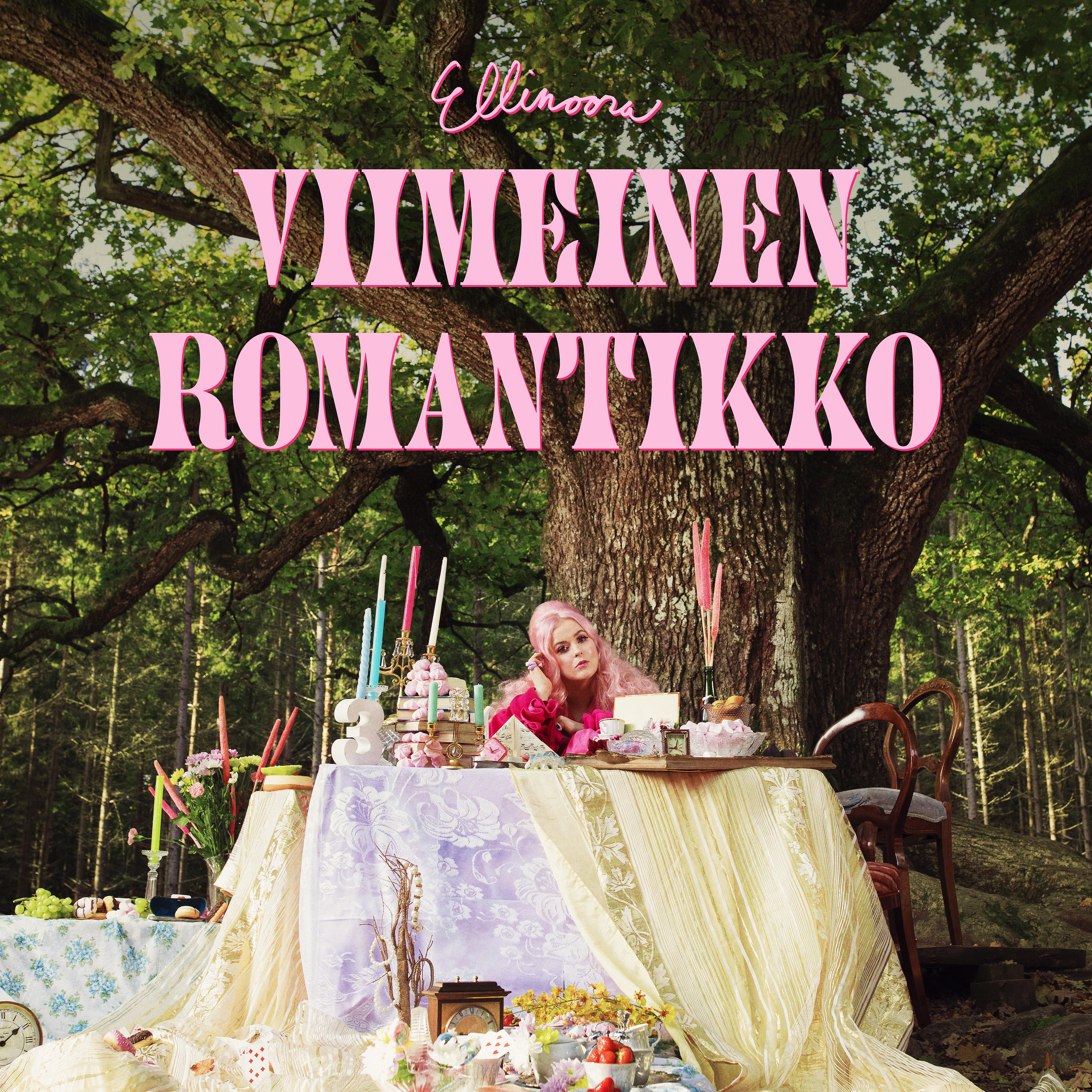Постер альбома Viimeinen romantikko