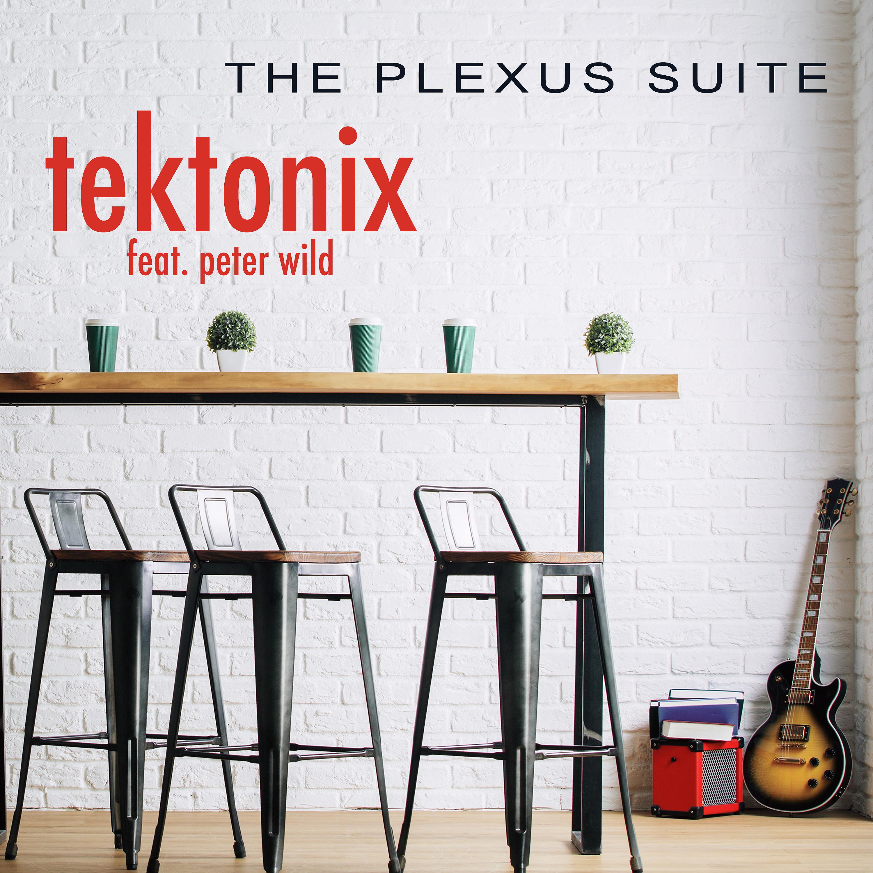 Постер альбома The Plexus Suite