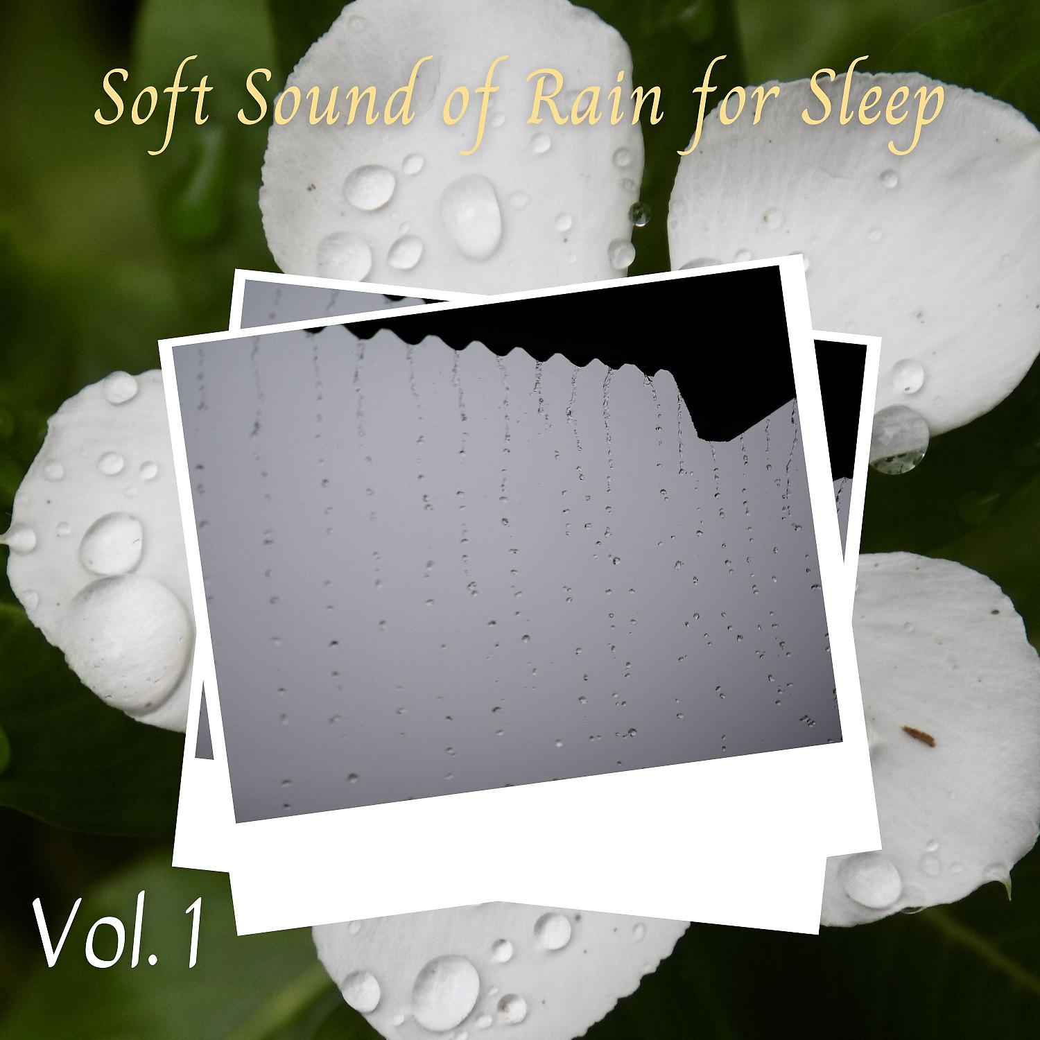 Постер альбома Soft Sound of Rain for Sleep Vol. 1