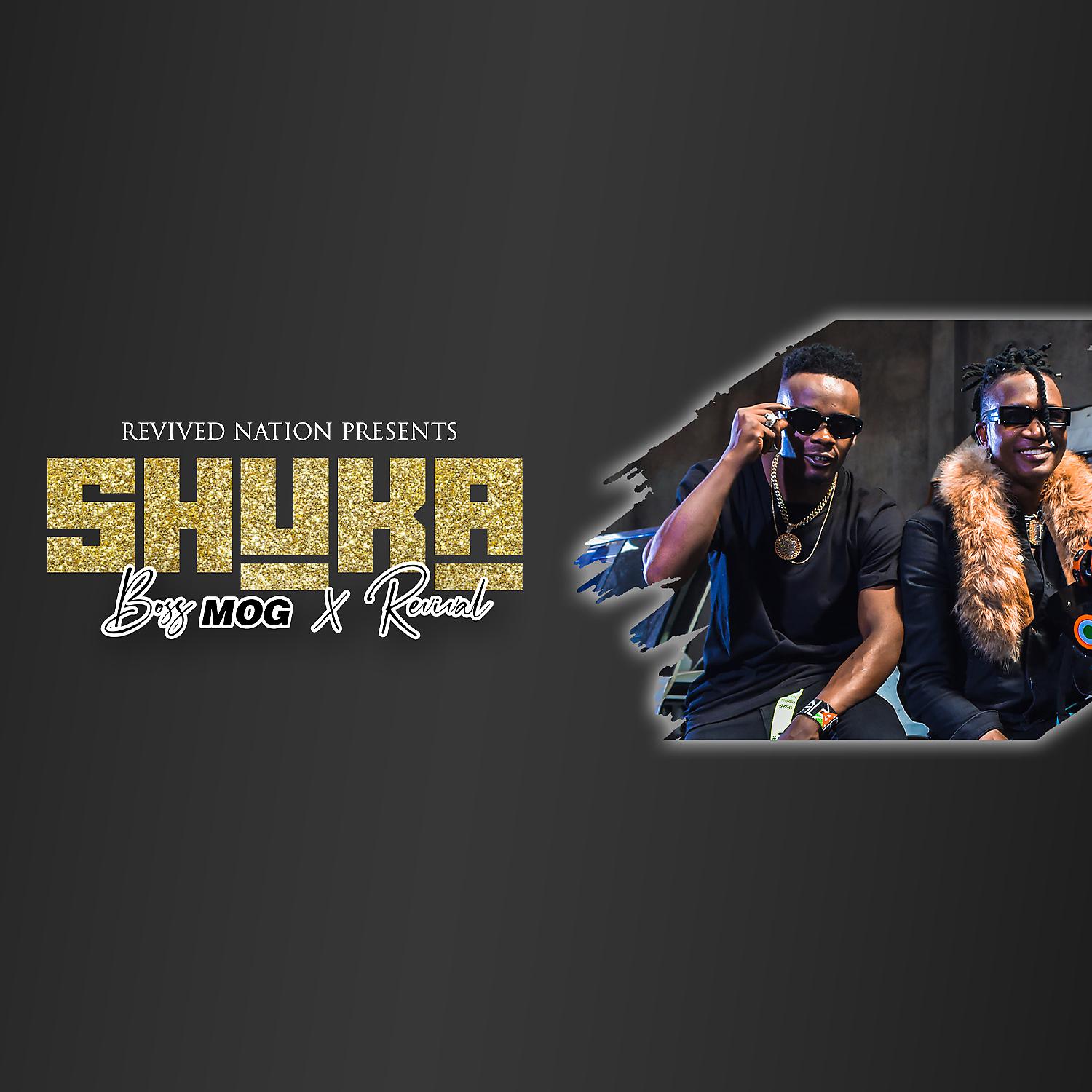 Постер альбома Shuka