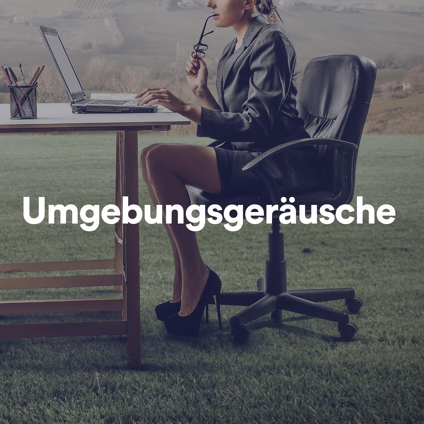 Постер альбома Umgebungsgeräusche