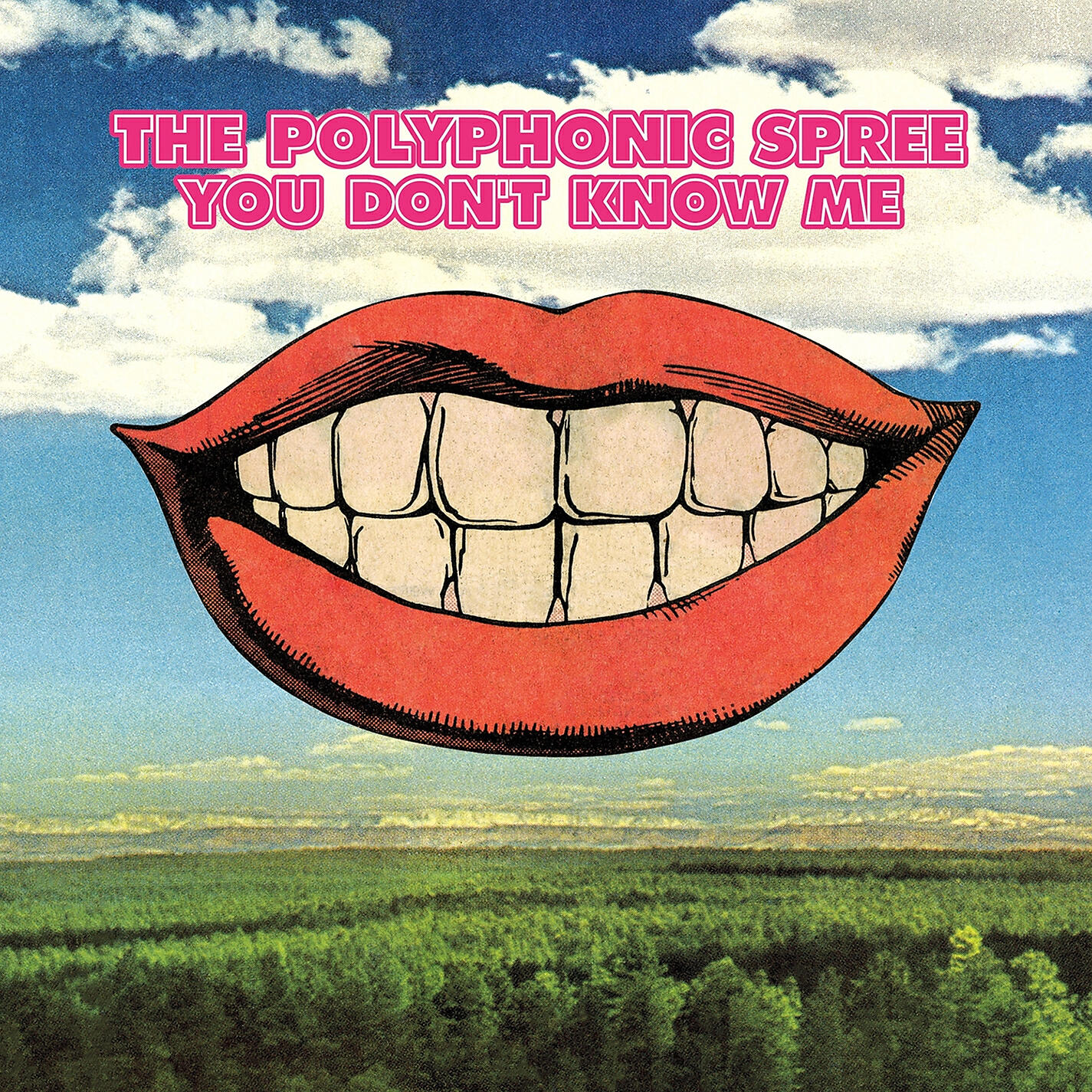 The Polyphonic Spree - You Don't Know Me