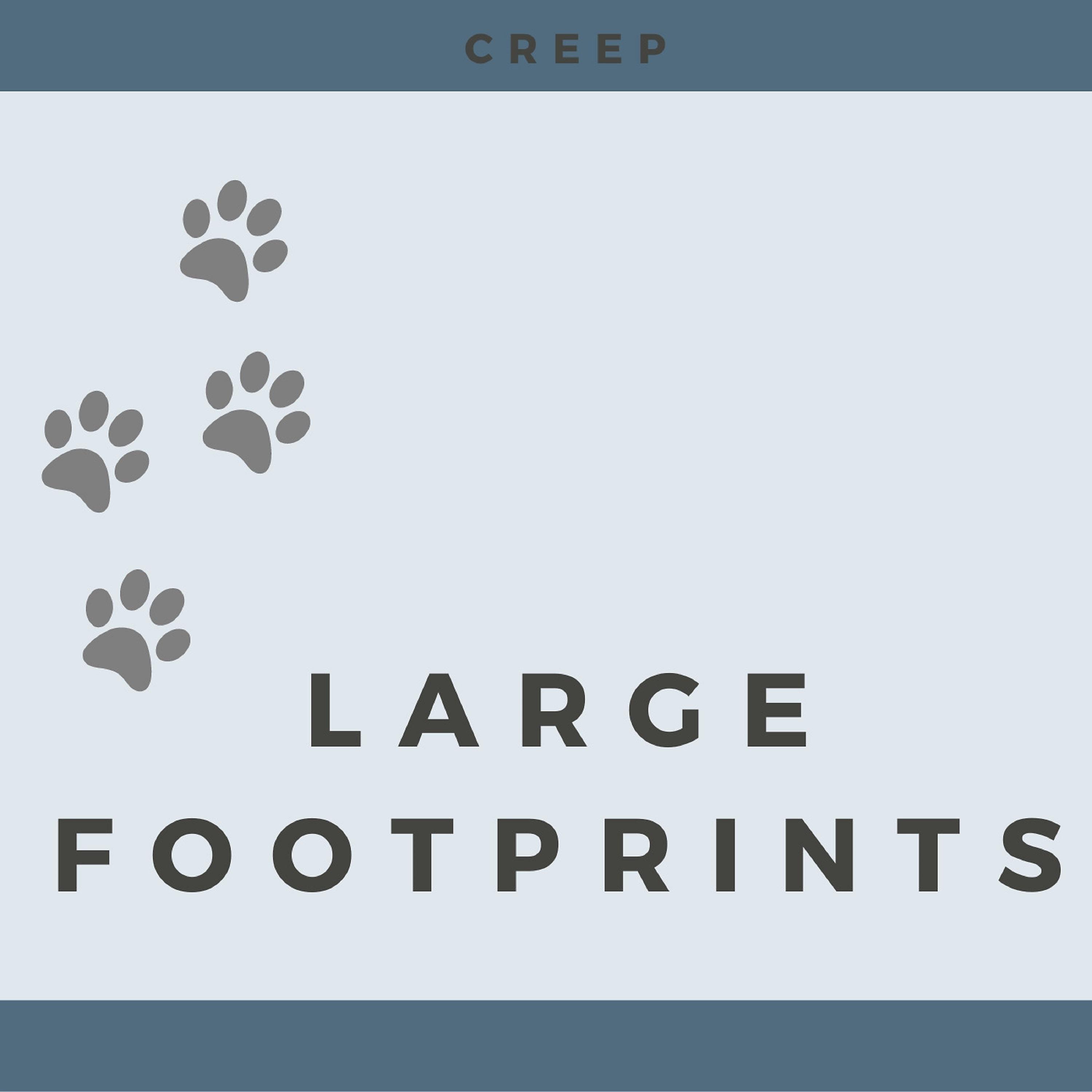 Постер альбома Large Footprints